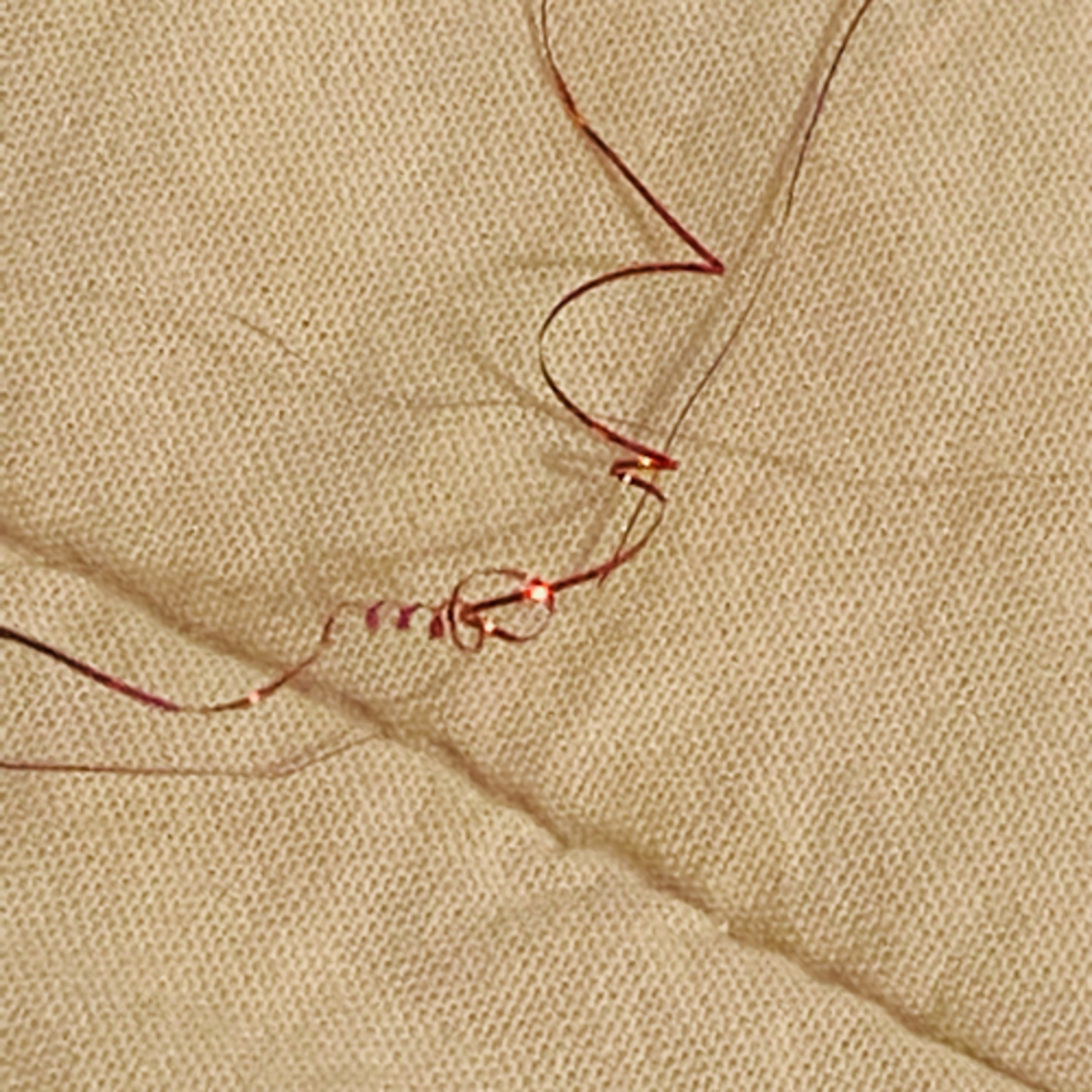 Crowdsourcing Research Morgellons