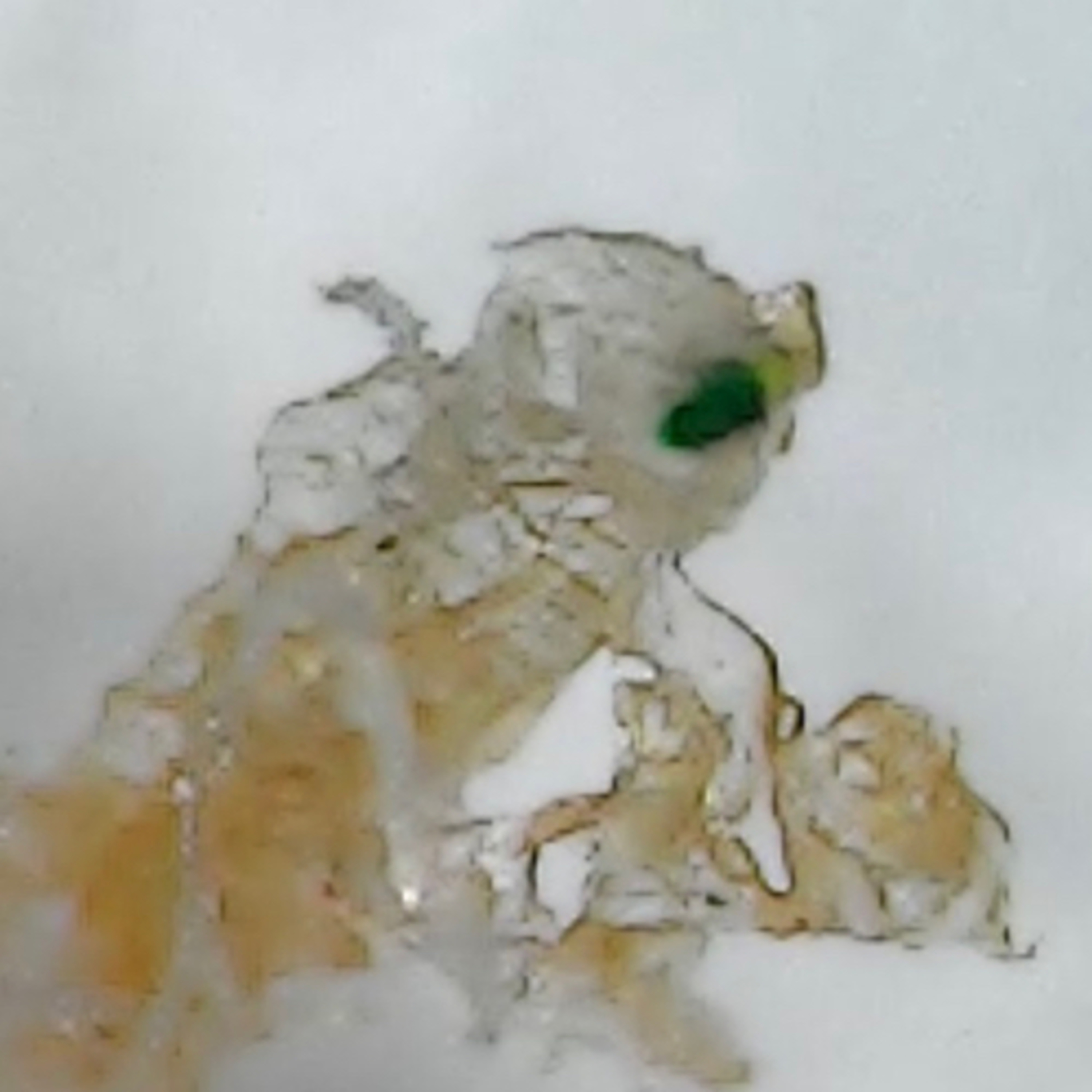 Morgellons Research Update