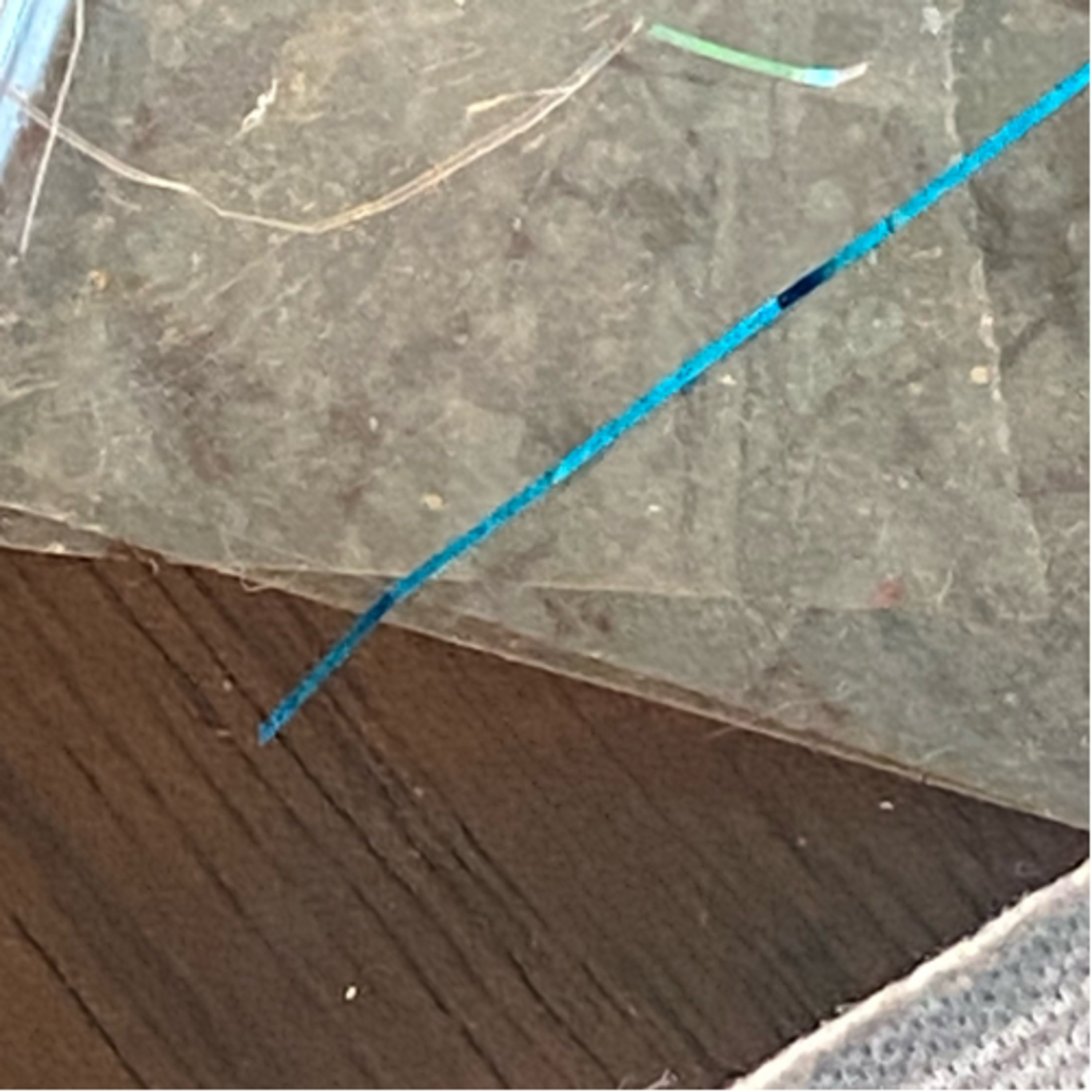C19 Shots 5G Chemtrails and Morgellons