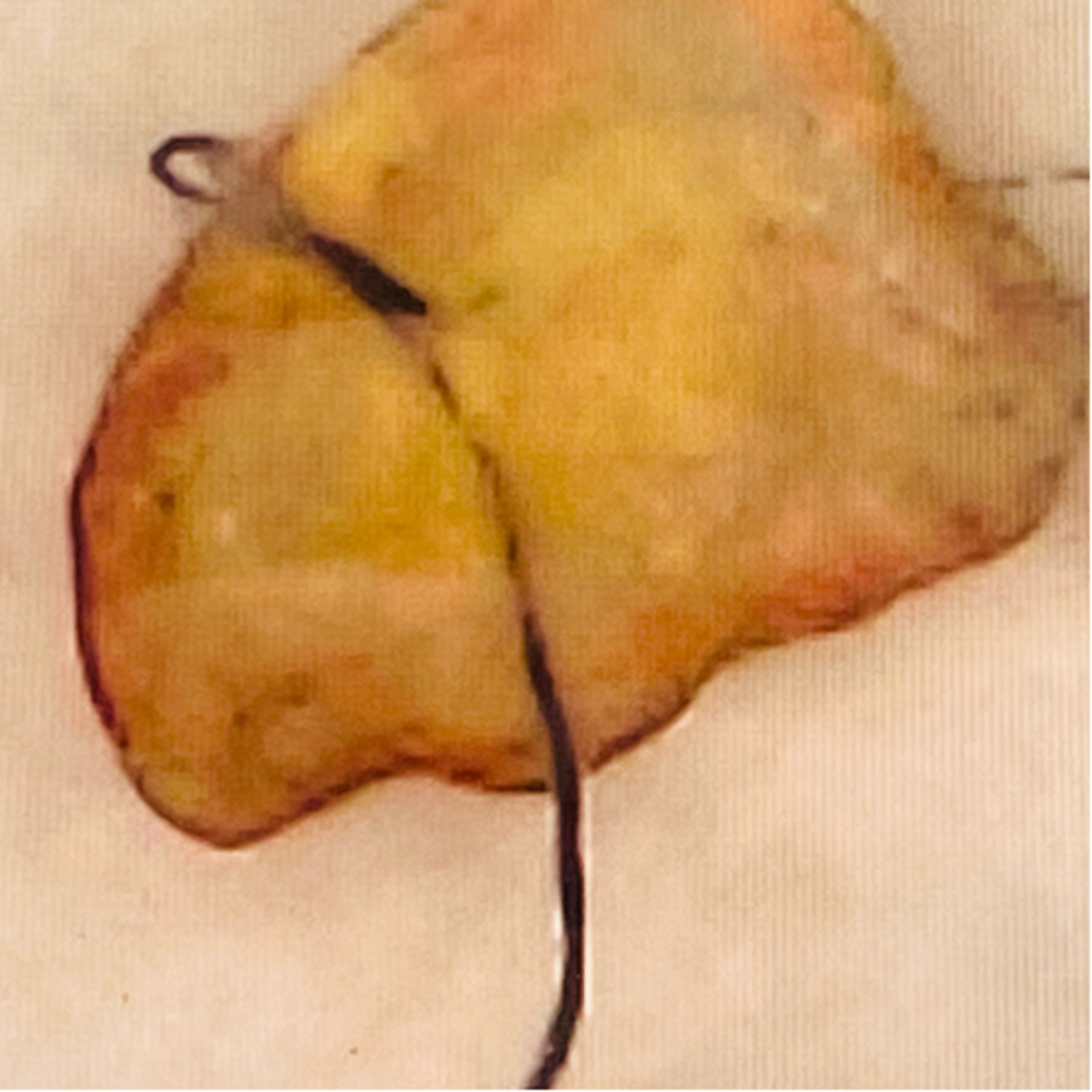 The Morgellons Candidate