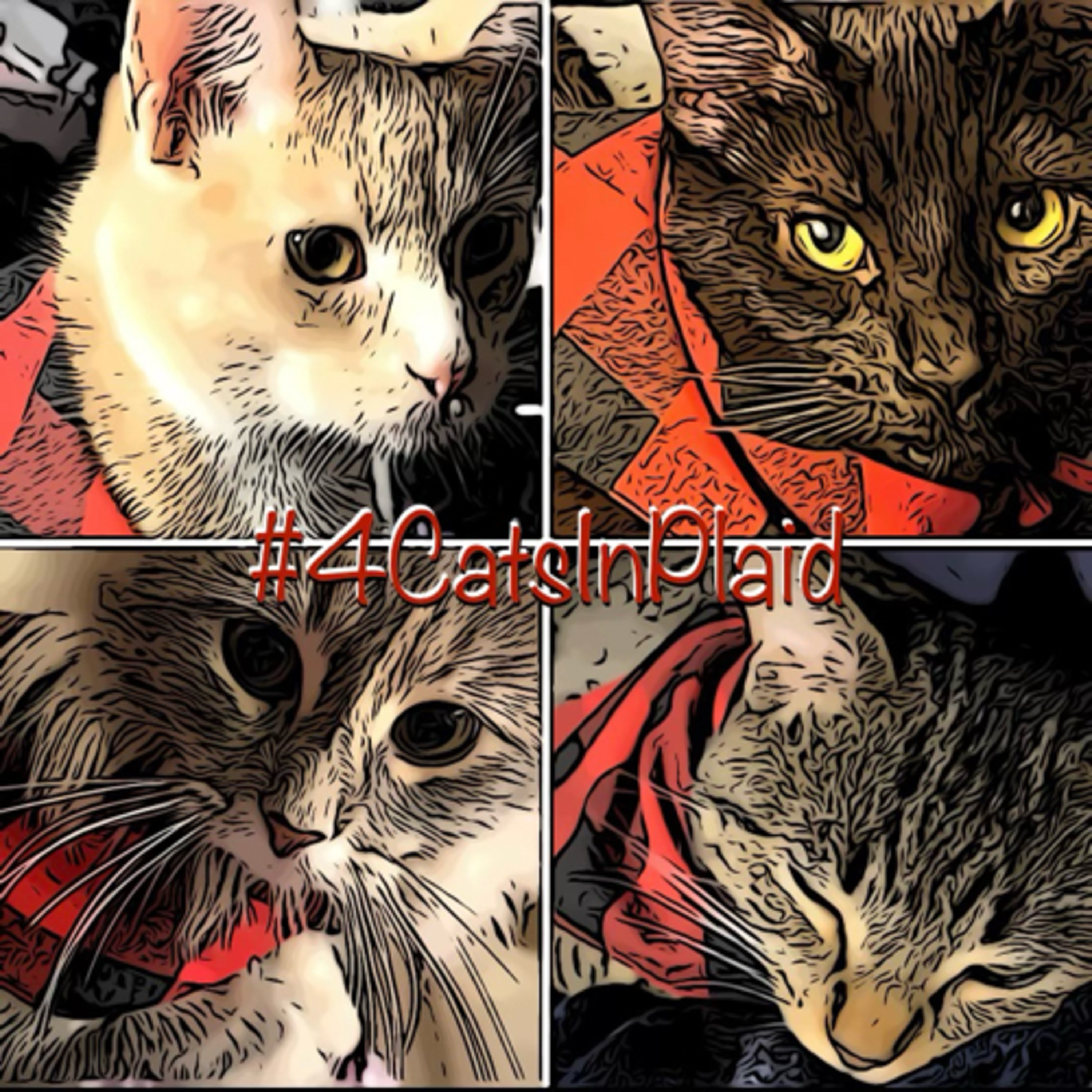 #PlaidCatArmy