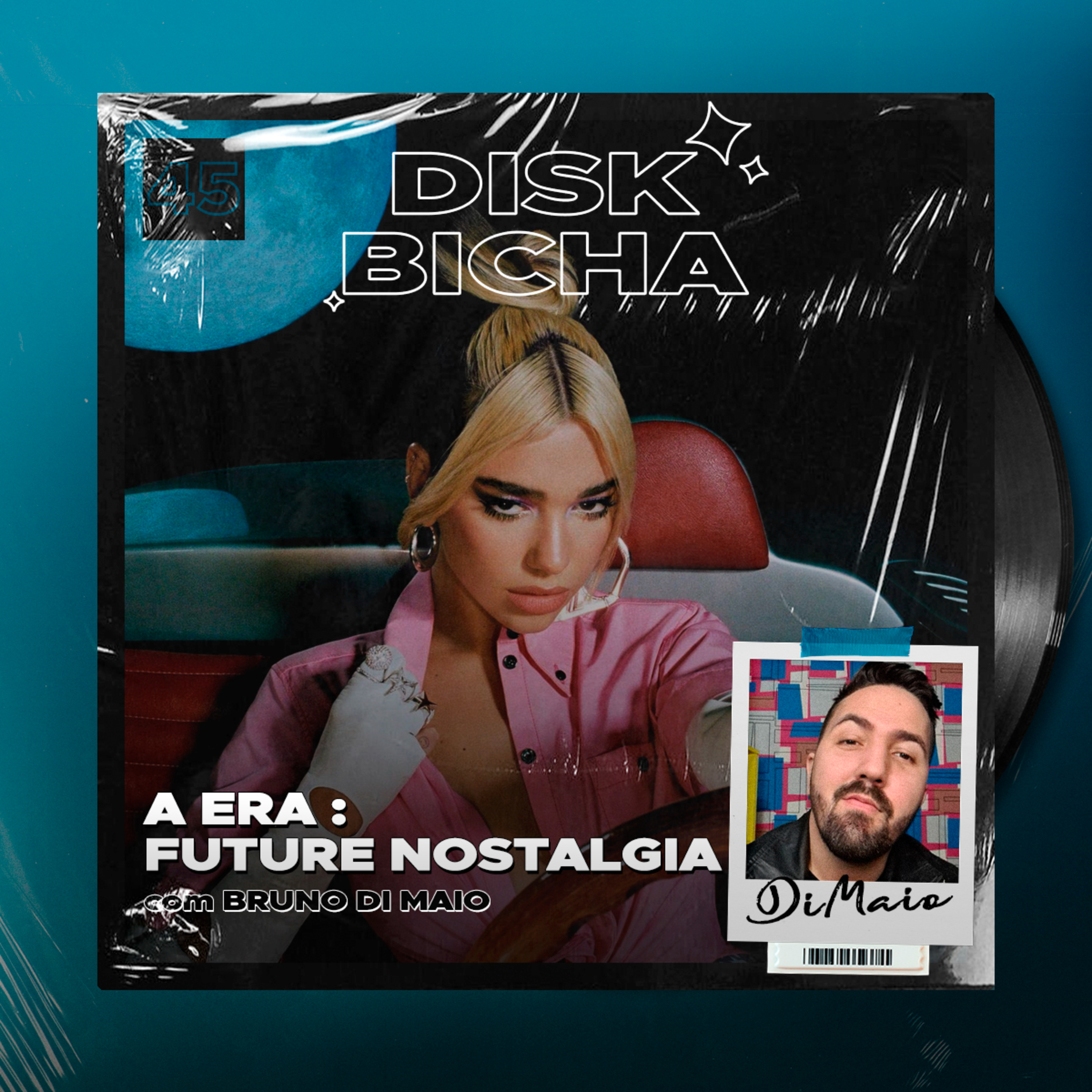 Disk Bicha