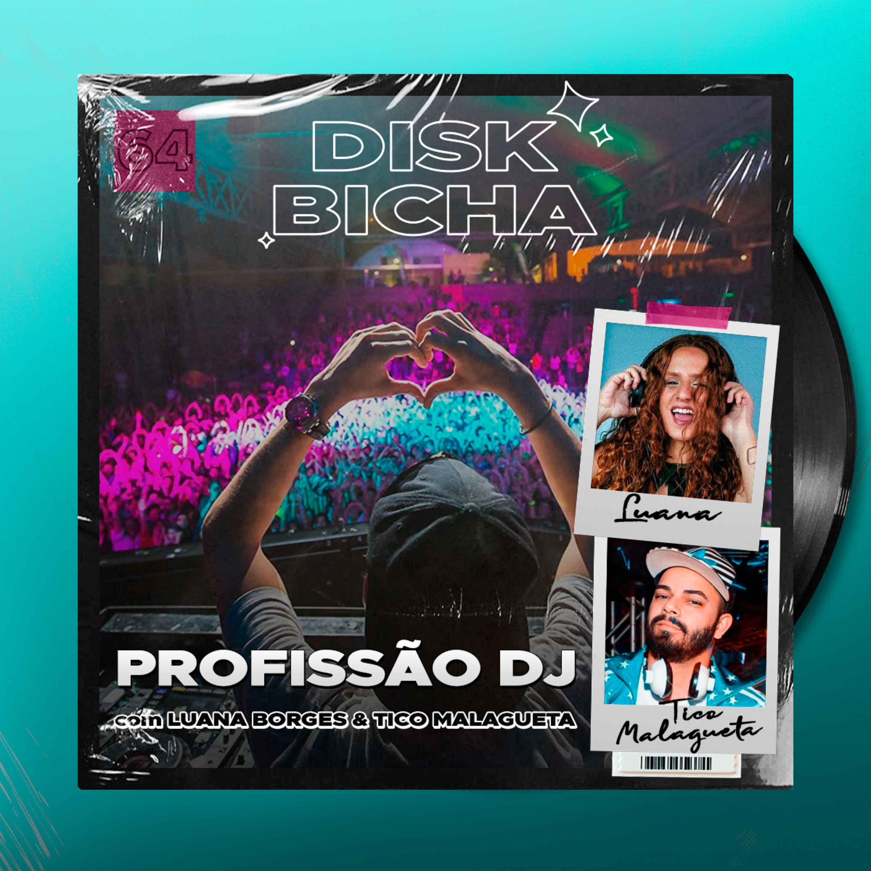 Disk Bicha