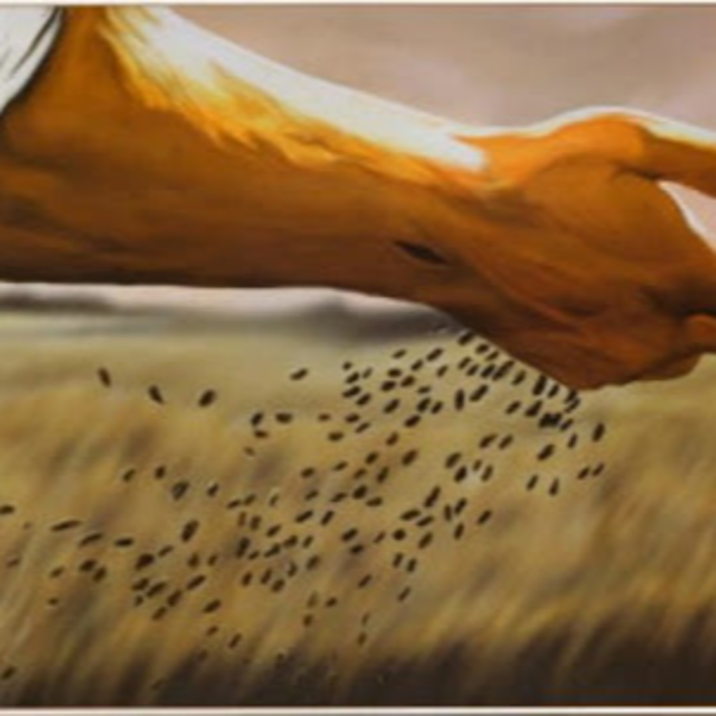Reflexion biblica 19 de septiembre 2020 episode artwork