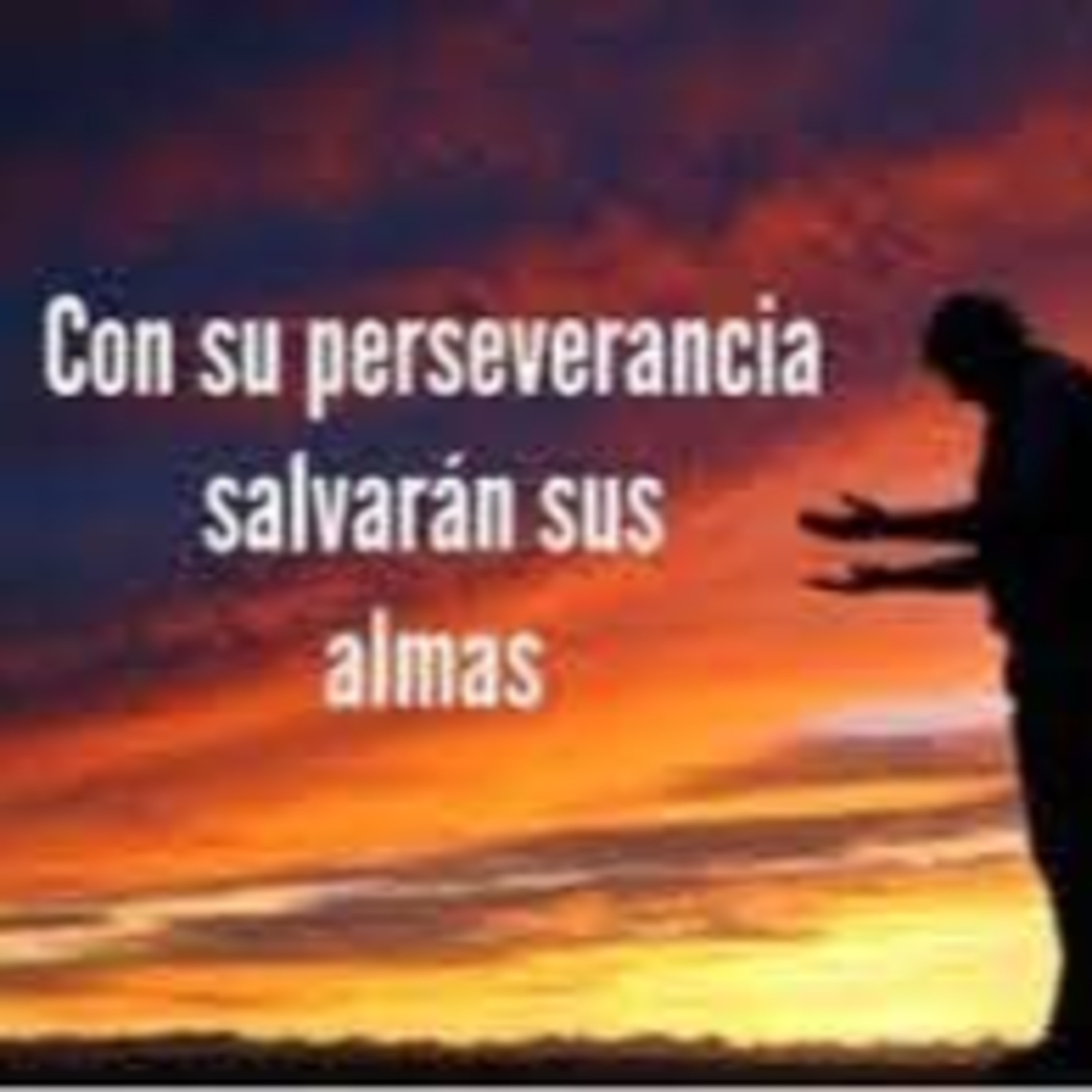 El Verbita