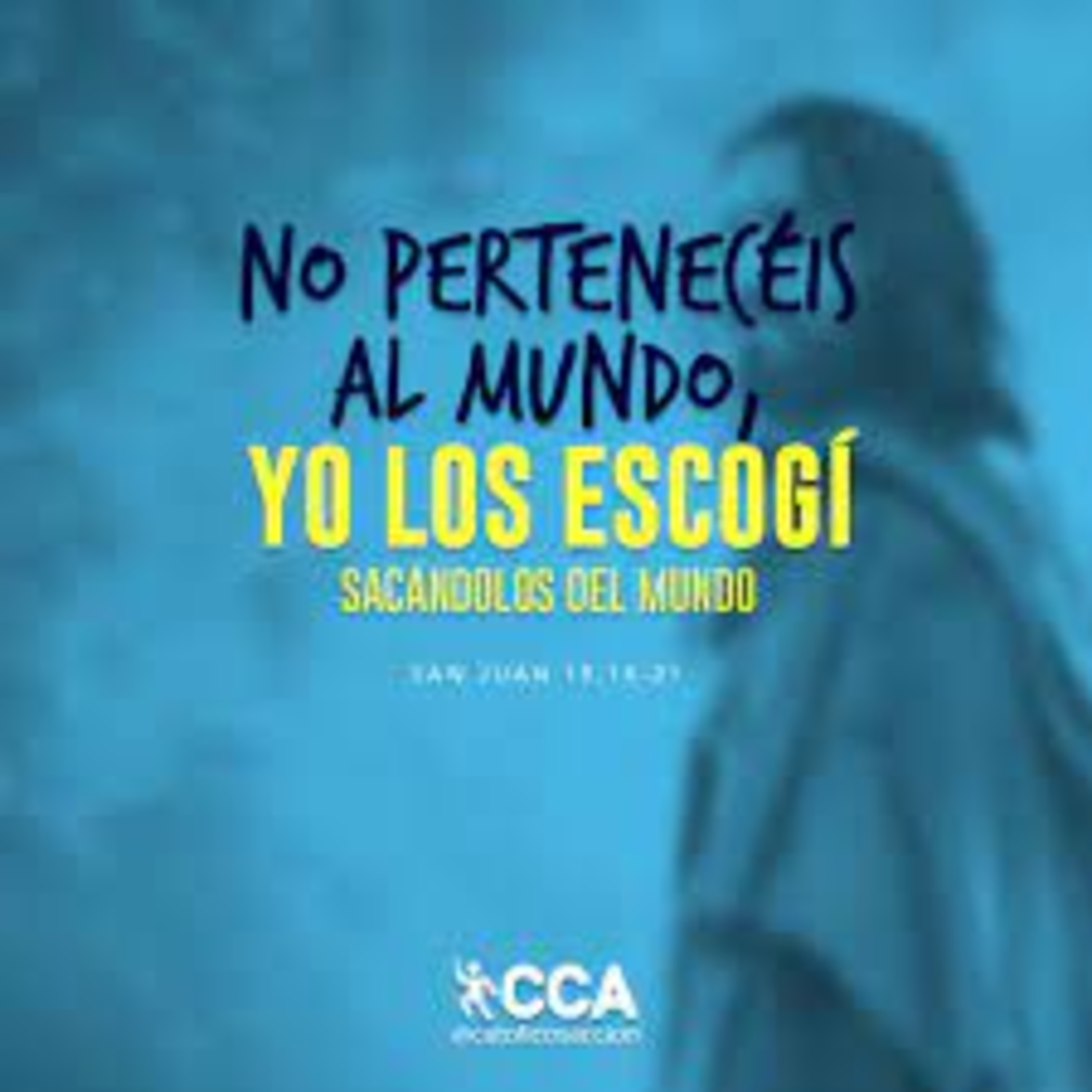 Reflexión bíblica, 8 de mayo  episode artwork
