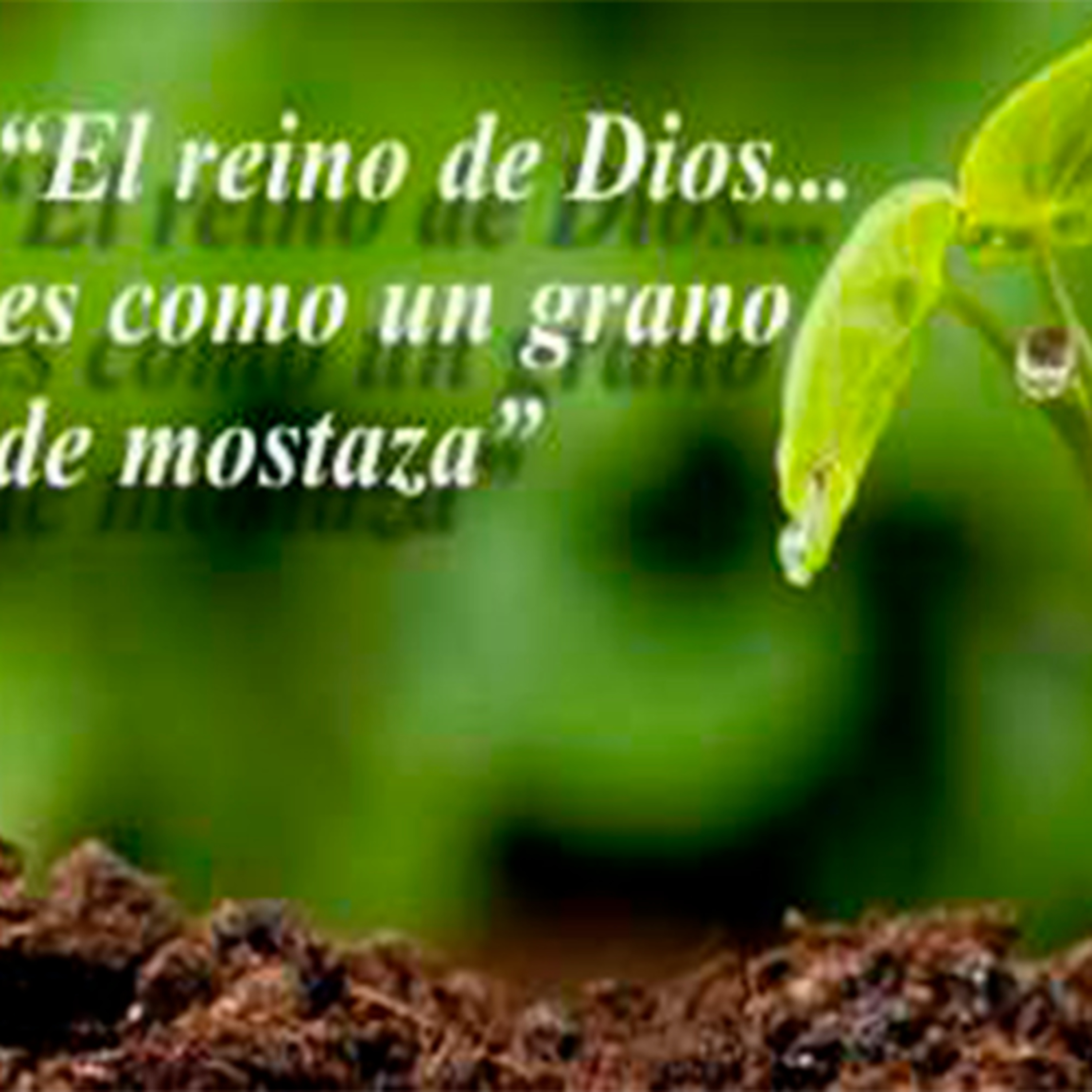 Reflexión bíblica, 26 de julio episode artwork