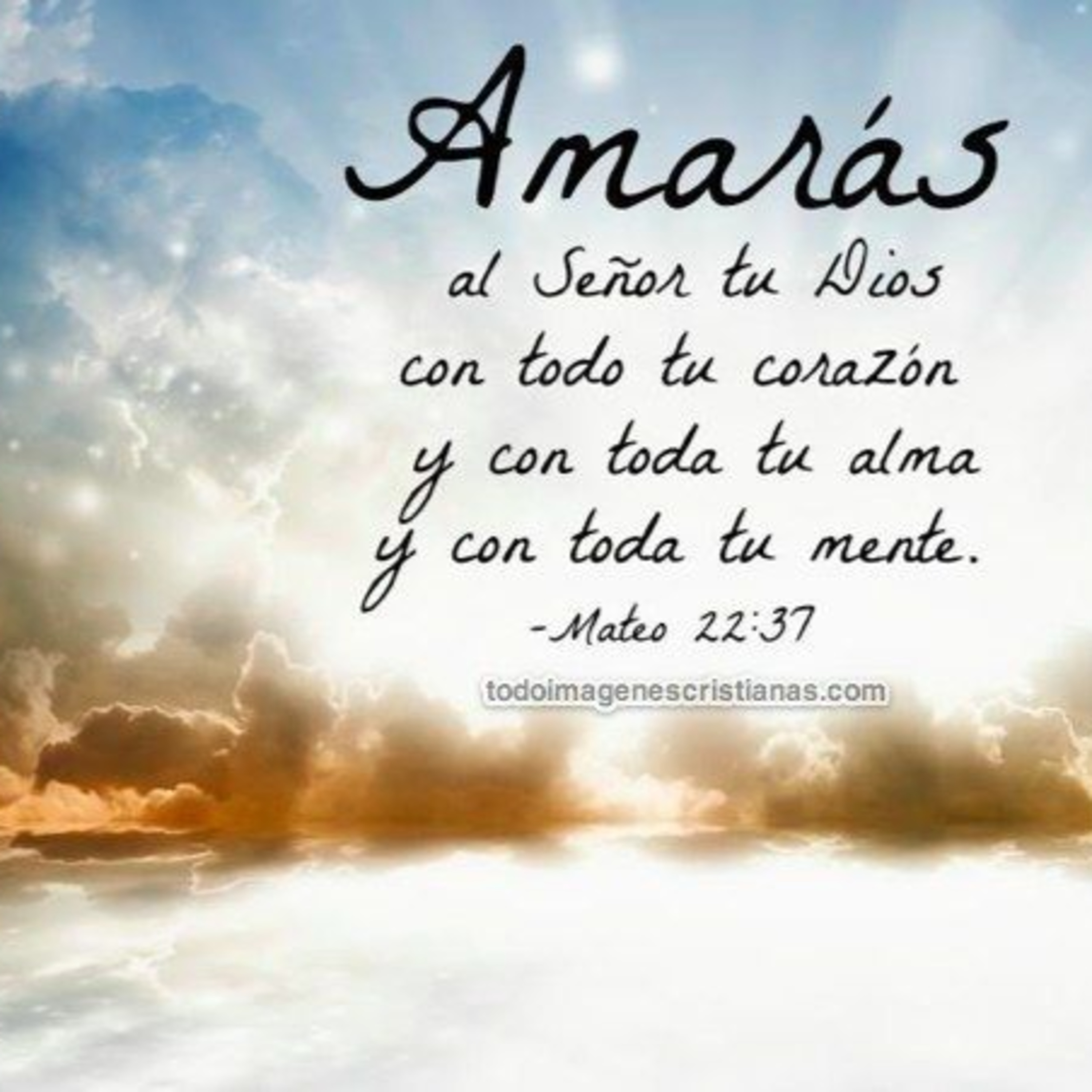 Reflexión bíblica, 20 de agosto episode artwork