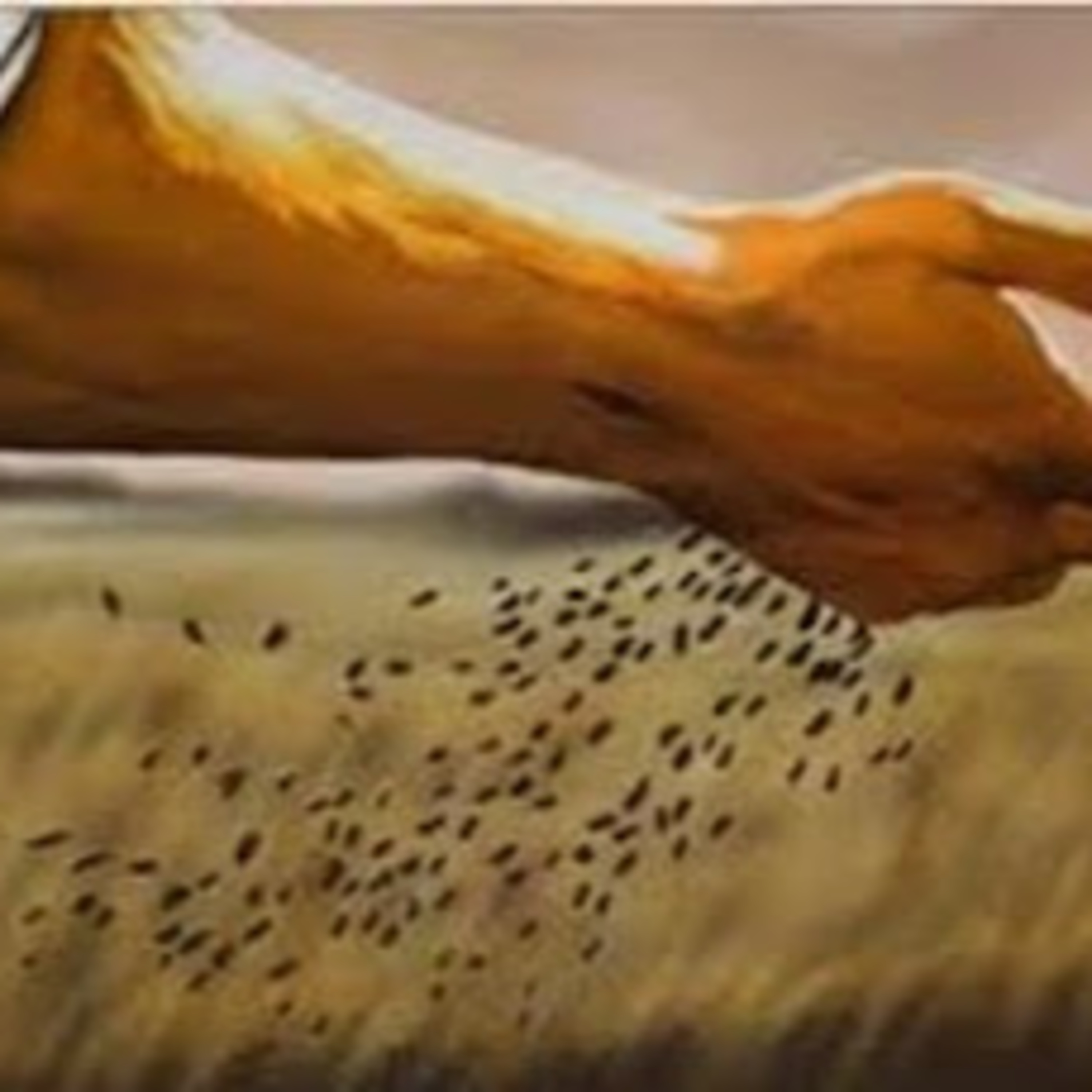 Reflexión bíblica, 18 de septiembre  episode artwork