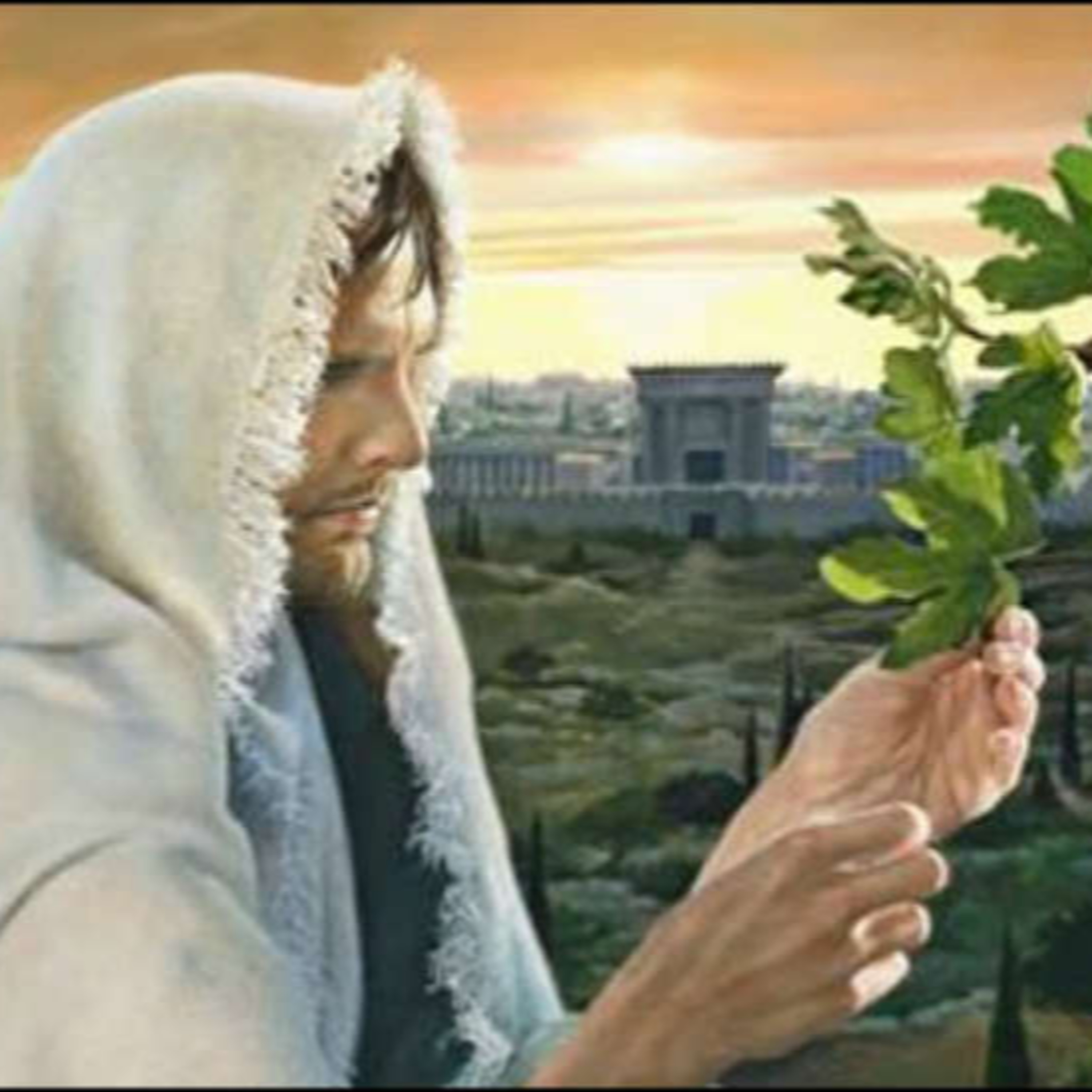 Reflexión bíblica, 26 de noviembre episode artwork