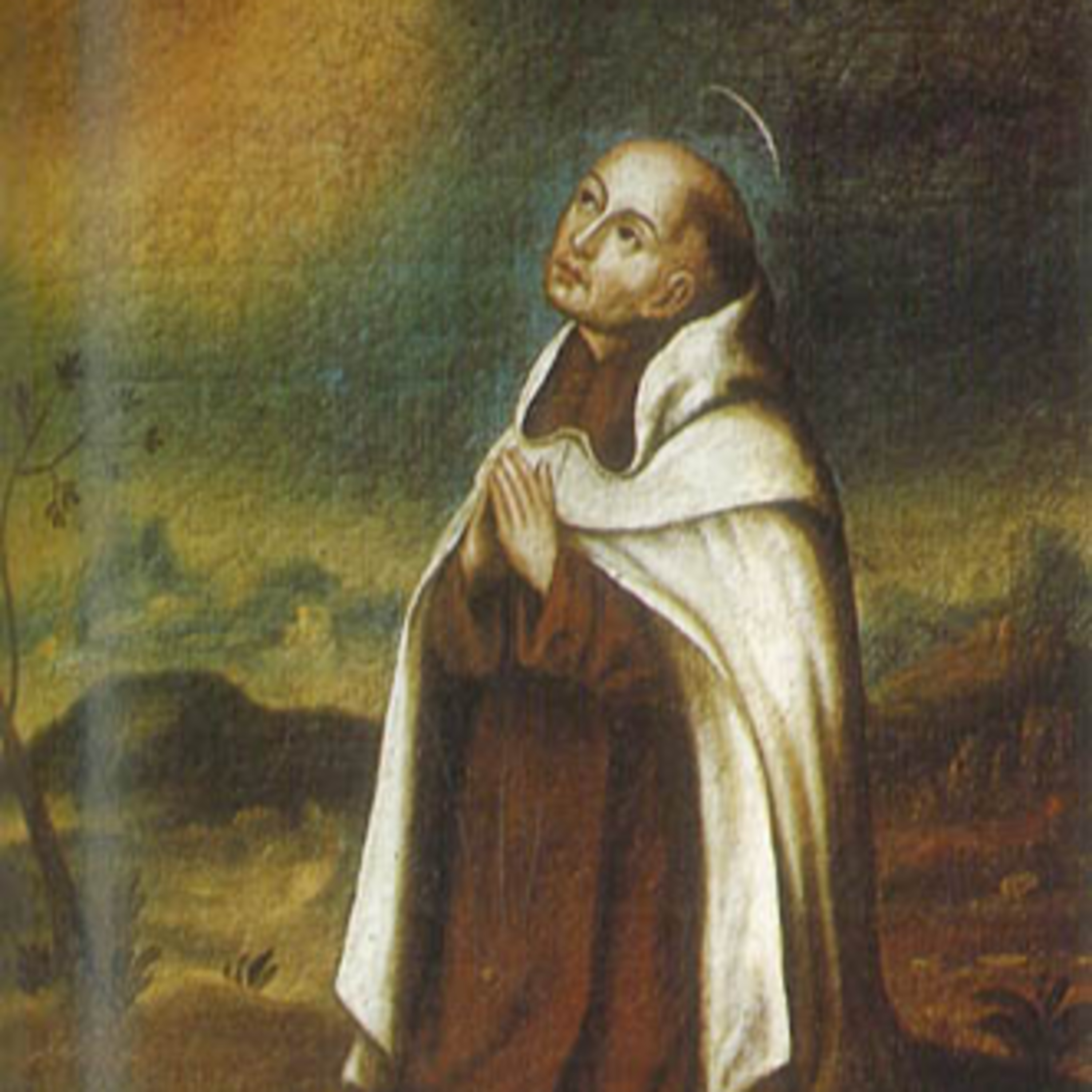 El Verbita
