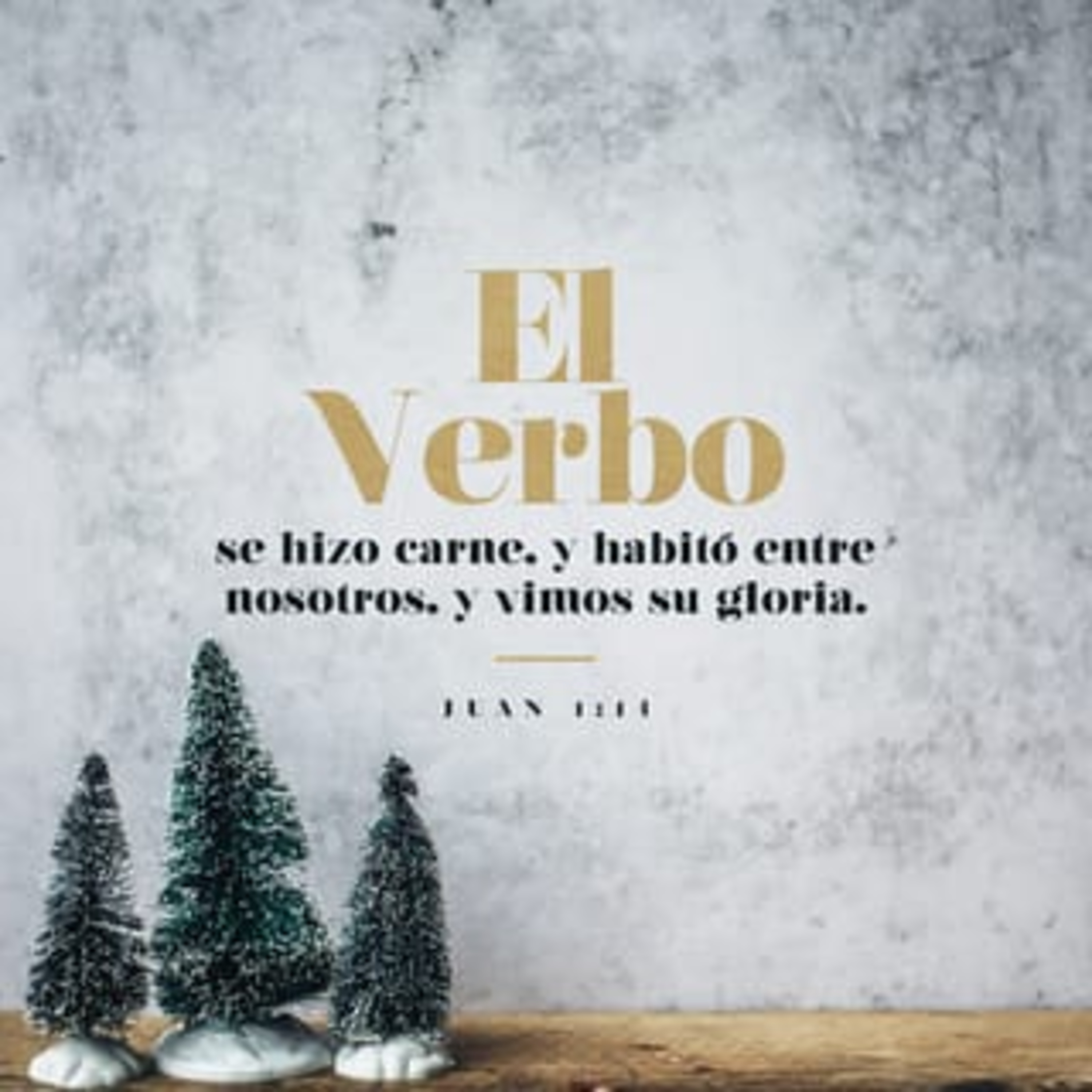 El Verbita