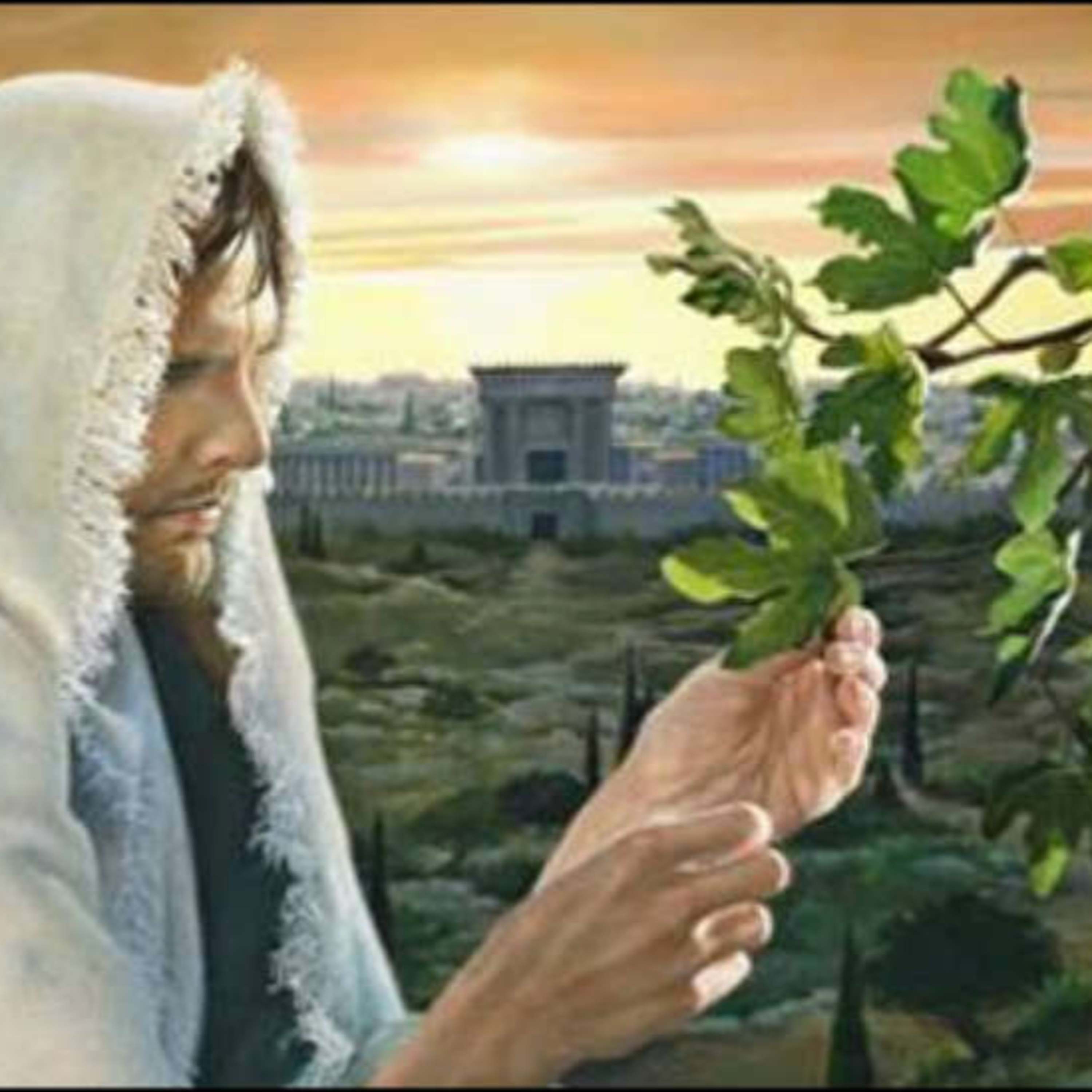 Reflexión Bíblica, 25 de noviembre  episode artwork