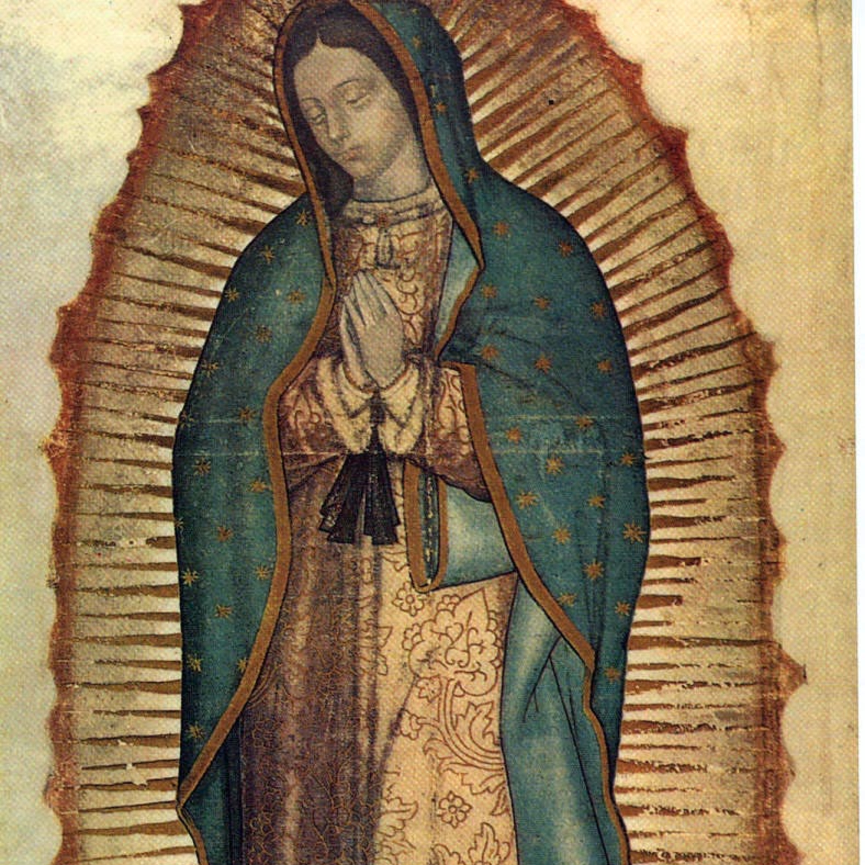 Reflexión bíblica, 12 de diciembre  episode artwork