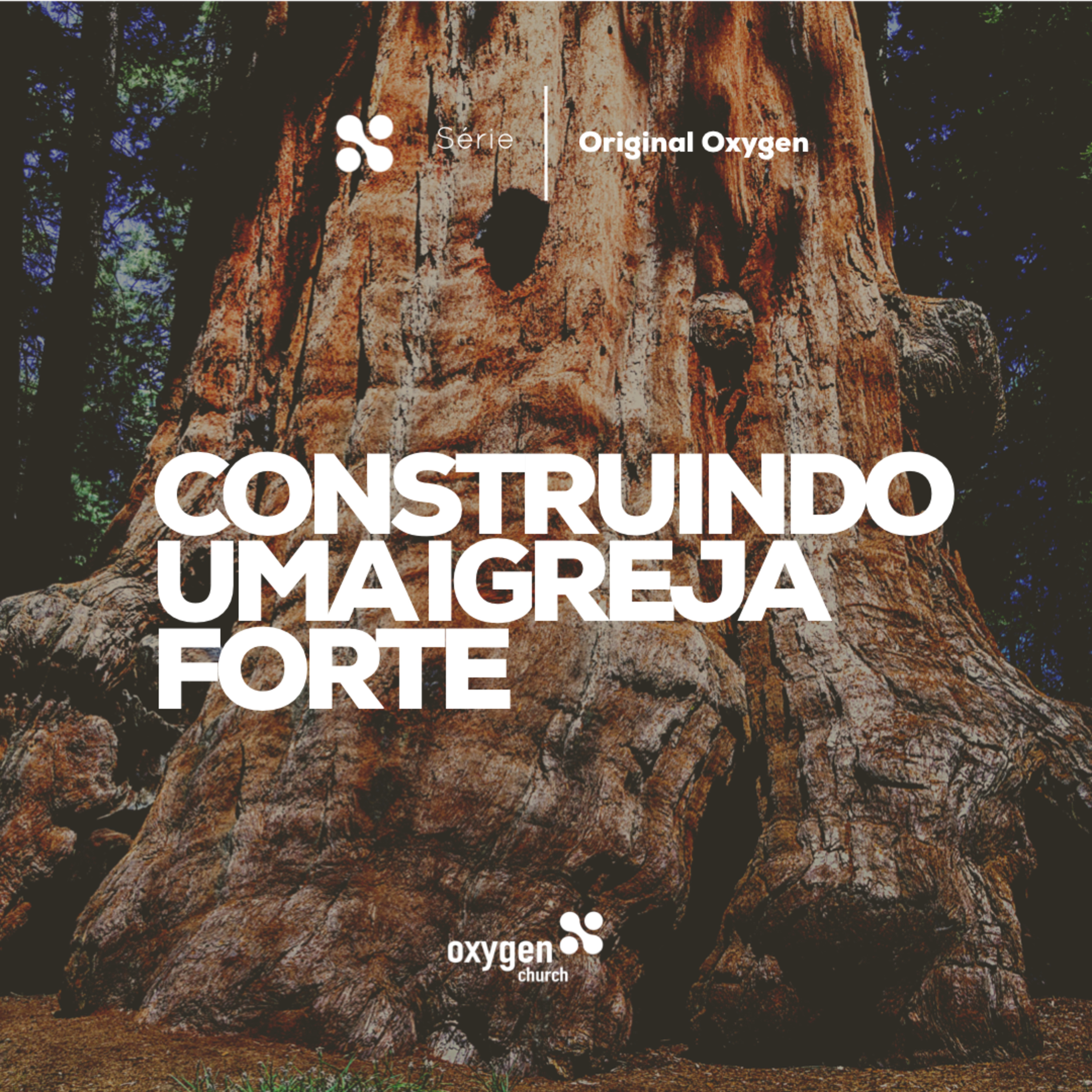 #039 COMO TRANSFORMAR SUA VIDA EM ADORAÇÃO COM OUTROS 17.03.2019 | Pr. Claudinei Carneiro episode artwork