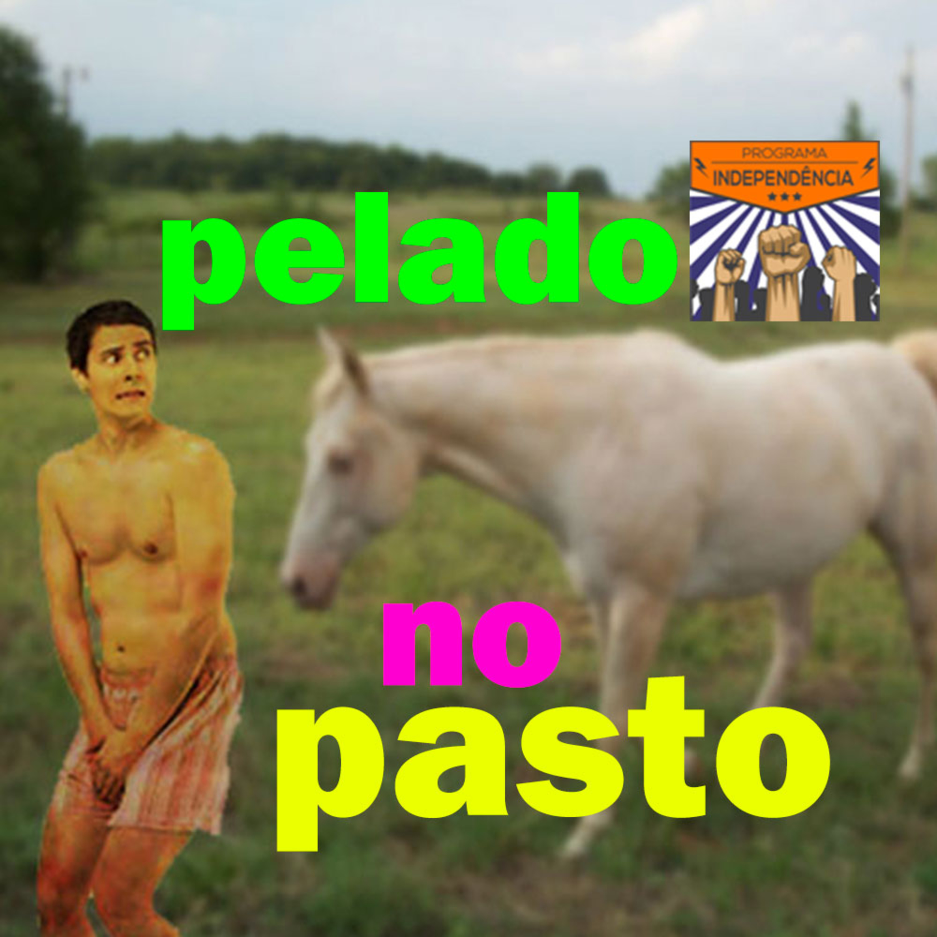 O alcoolismo deixou este rapaz completamente nu no meio de um pasto próximo à cidade episode artwork