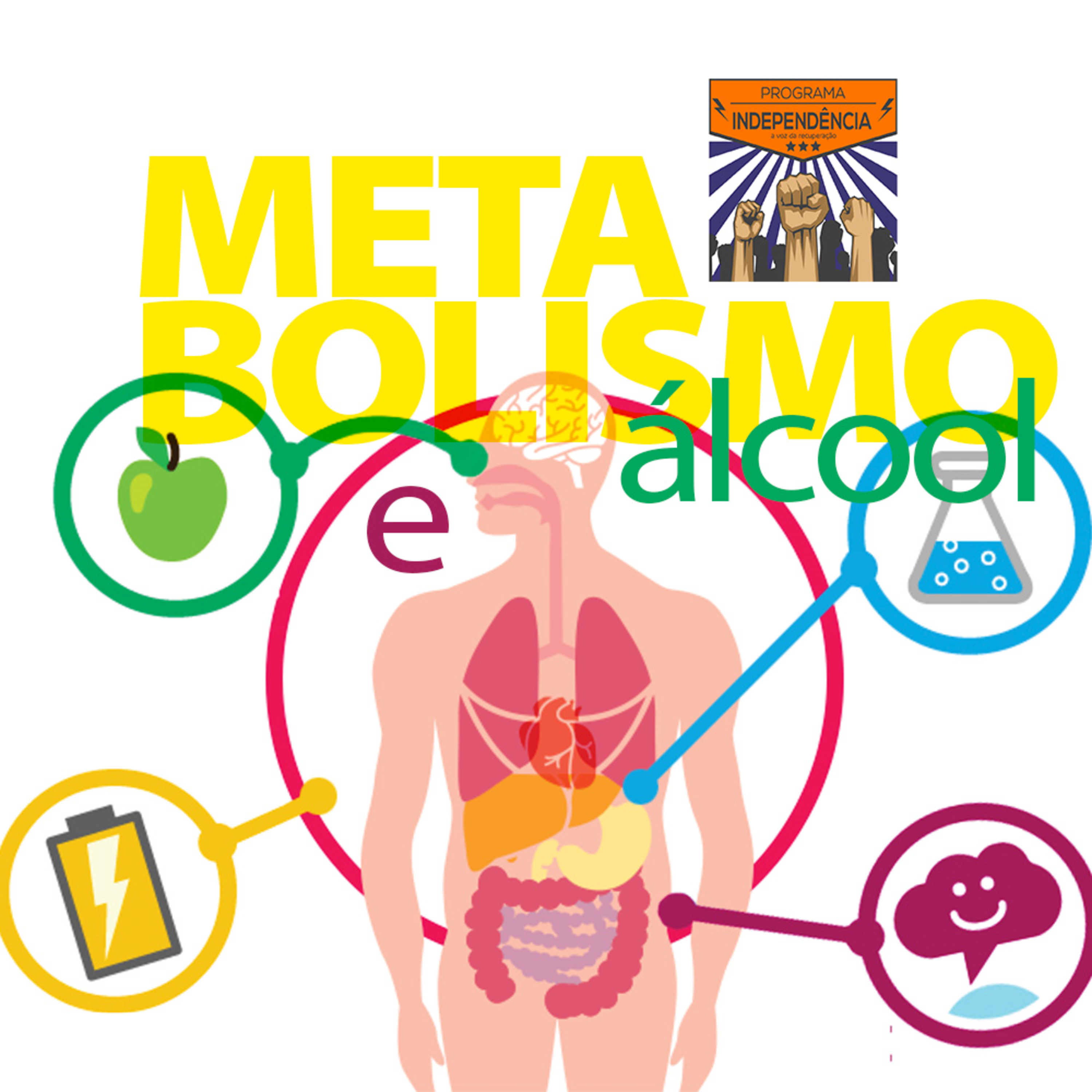 Conheça o processo inflamatório do álcool em nosso metabolismo episode artwork