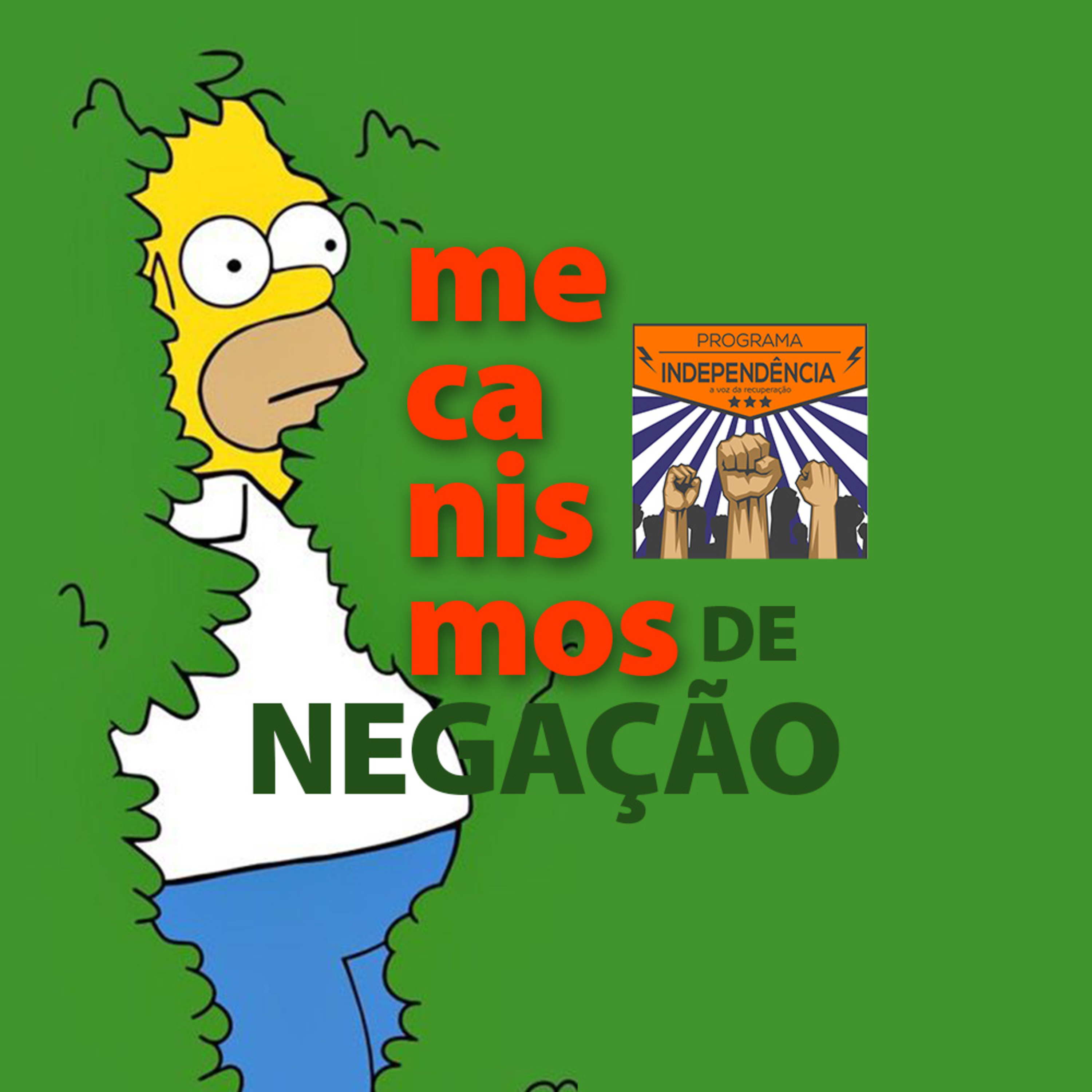 Programa Independência