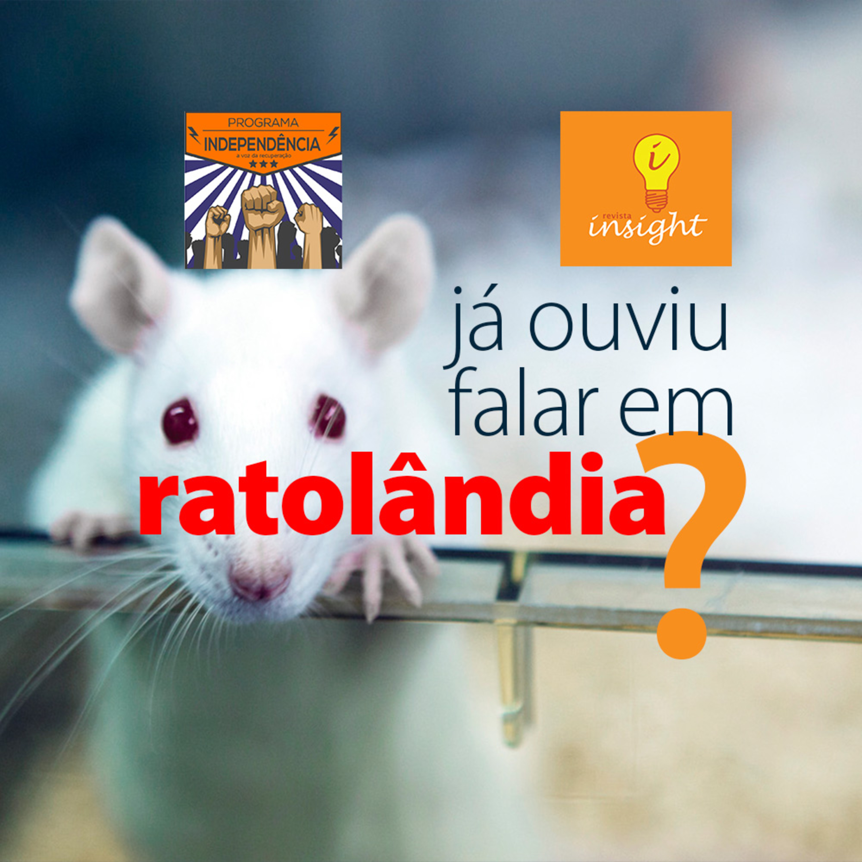 Experimento científico da década de 70 explica porque a socialização é tão importante no tratamento episode artwork