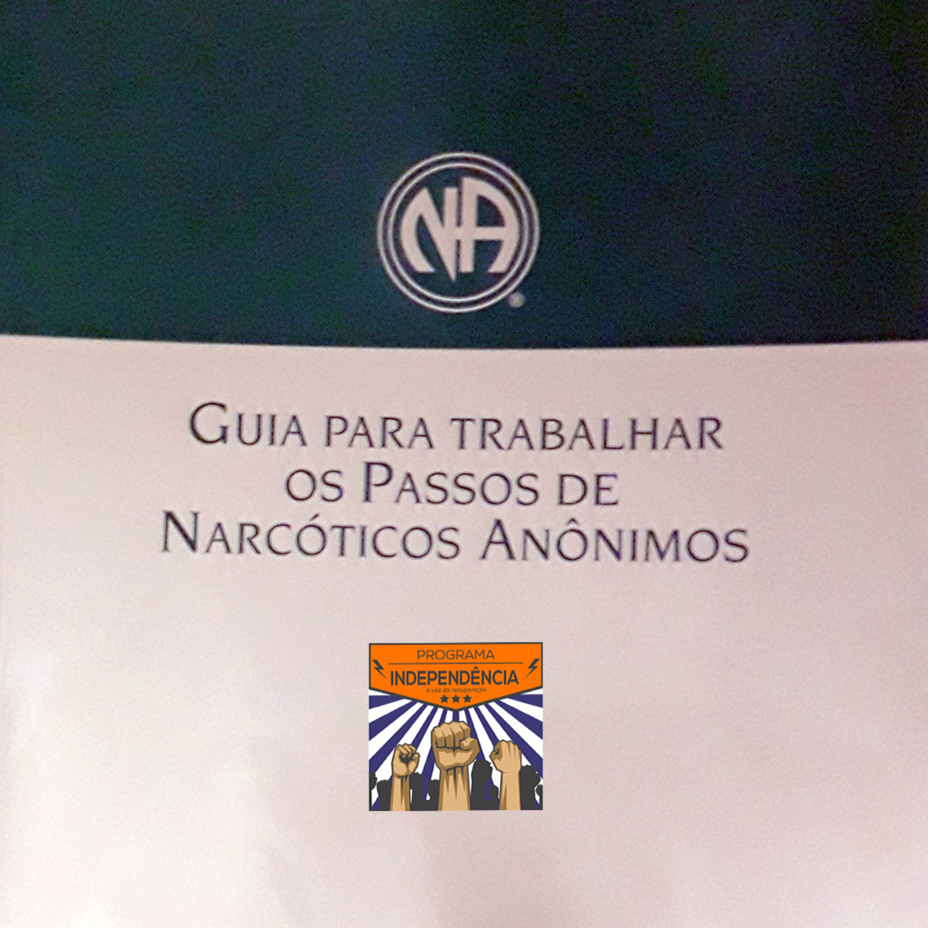 Guia para trabalhar os passos de NA: 1º Passo episode artwork