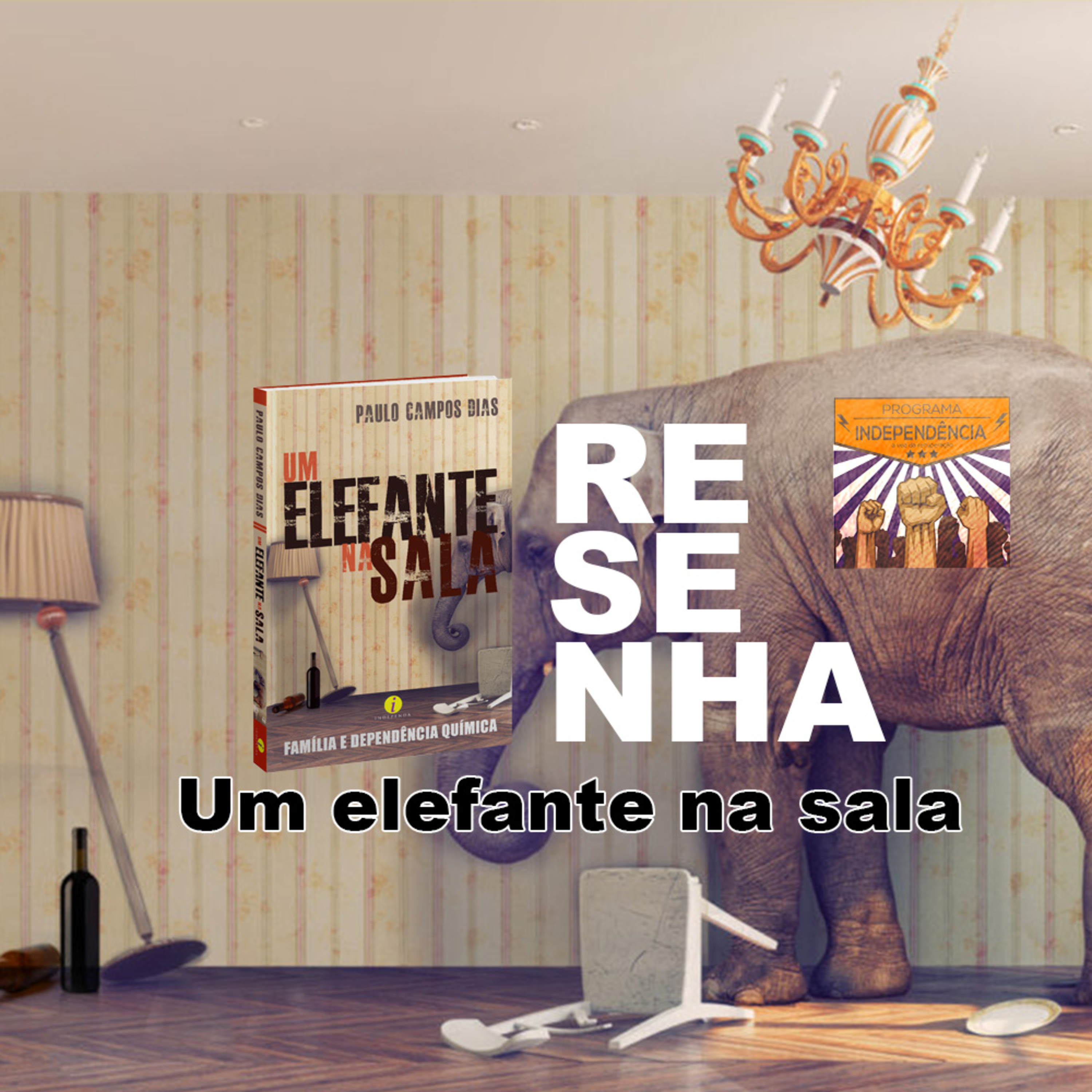 Um elefante na sala: resenha episode artwork