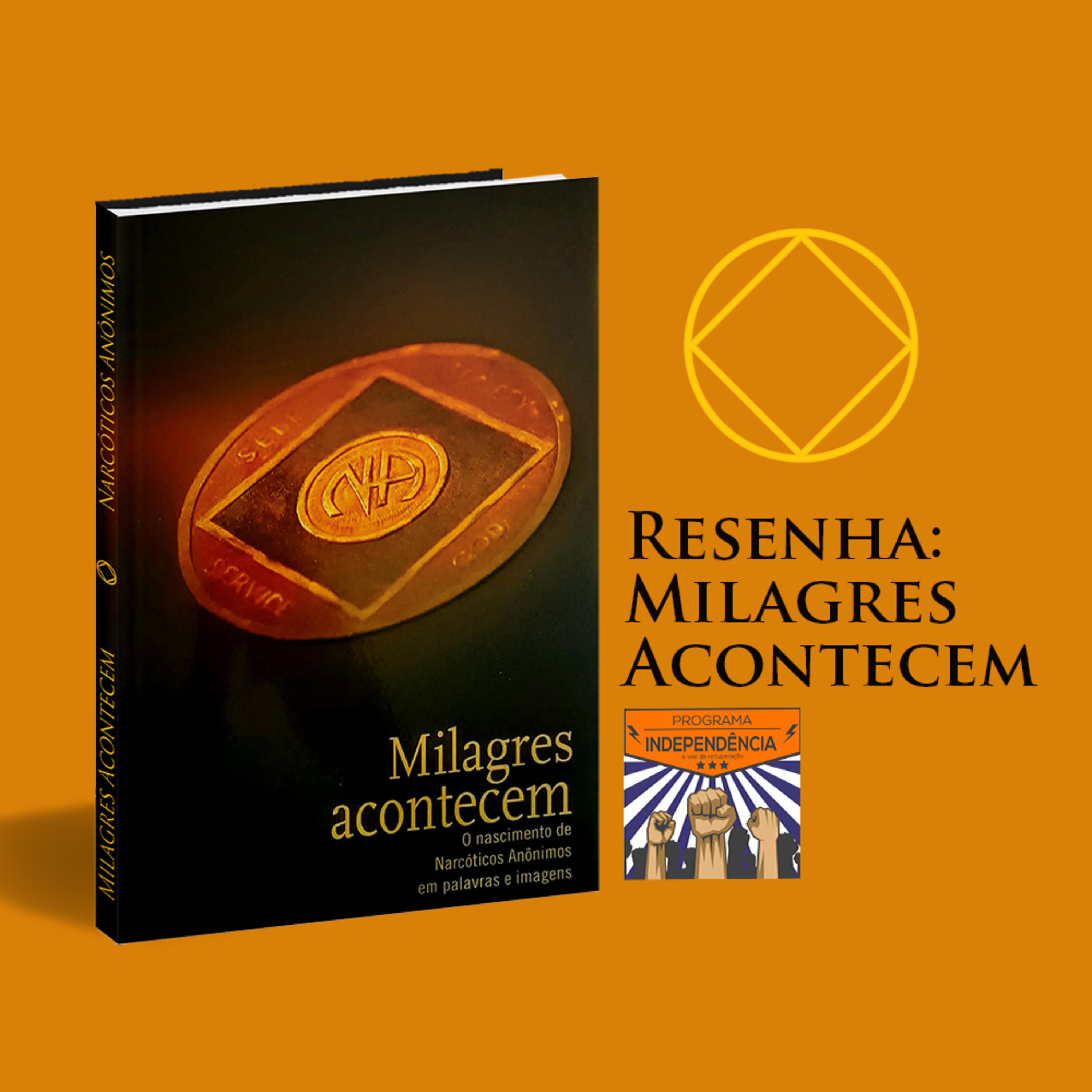 Resenha: Milagres acontecem – O nascimento de Narcóticos Anônimos em palavras e imagens episode artwork