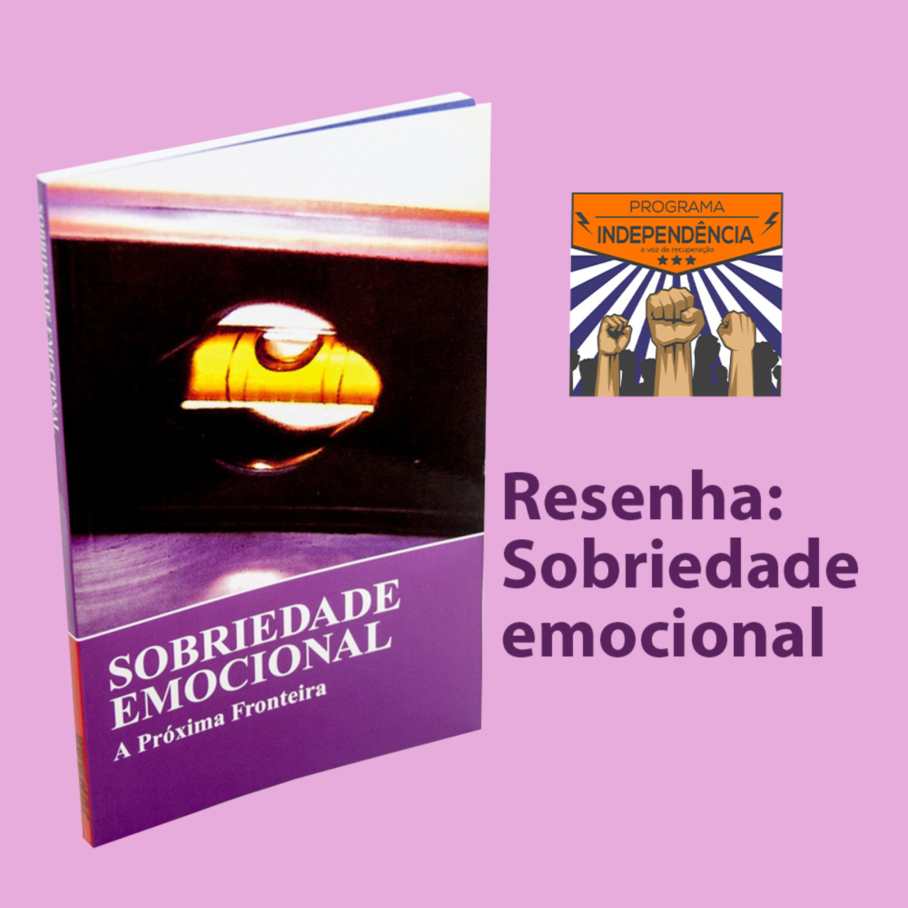 Resenha: Sobriedade emocional – A próxima fronteira episode artwork