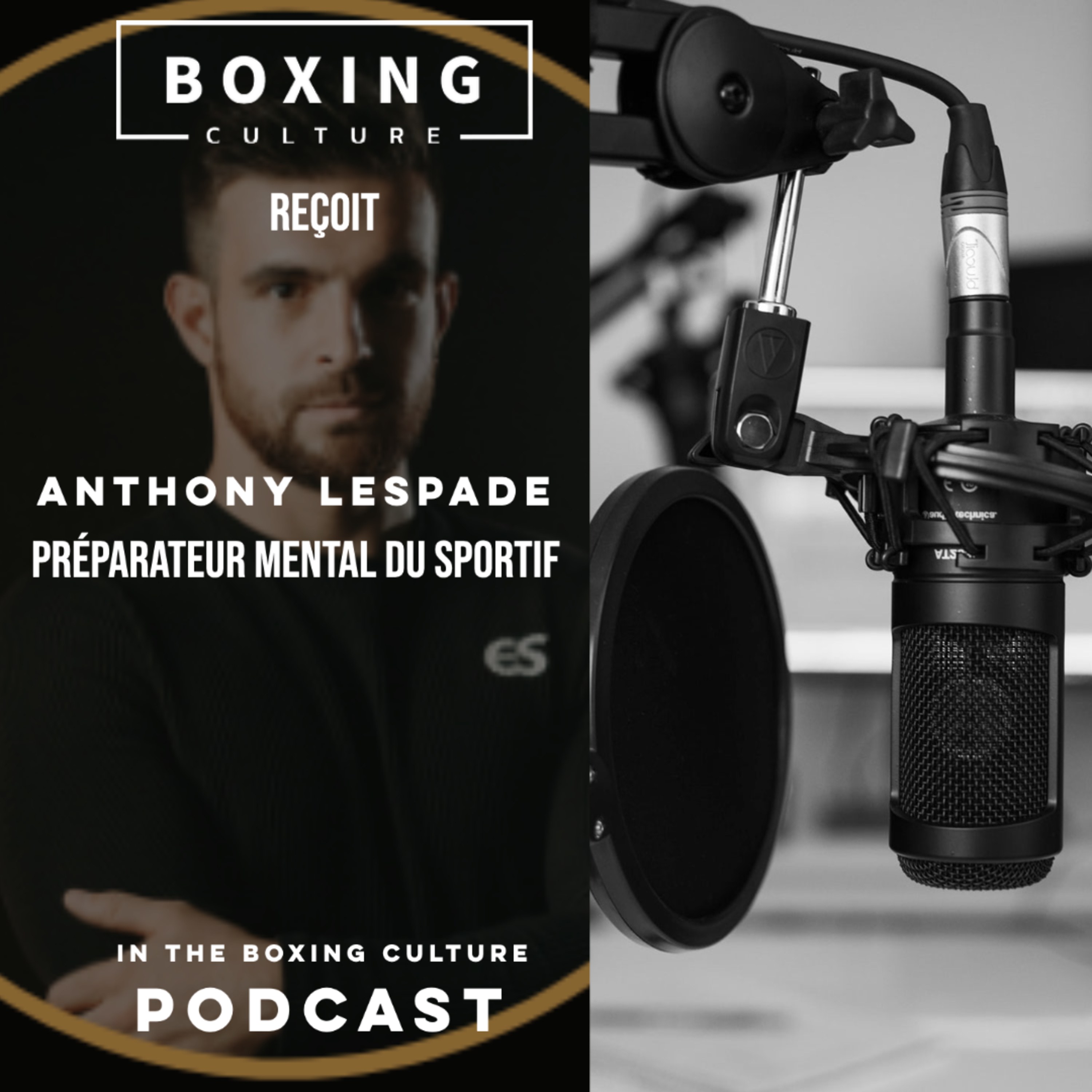 Boxing Culture