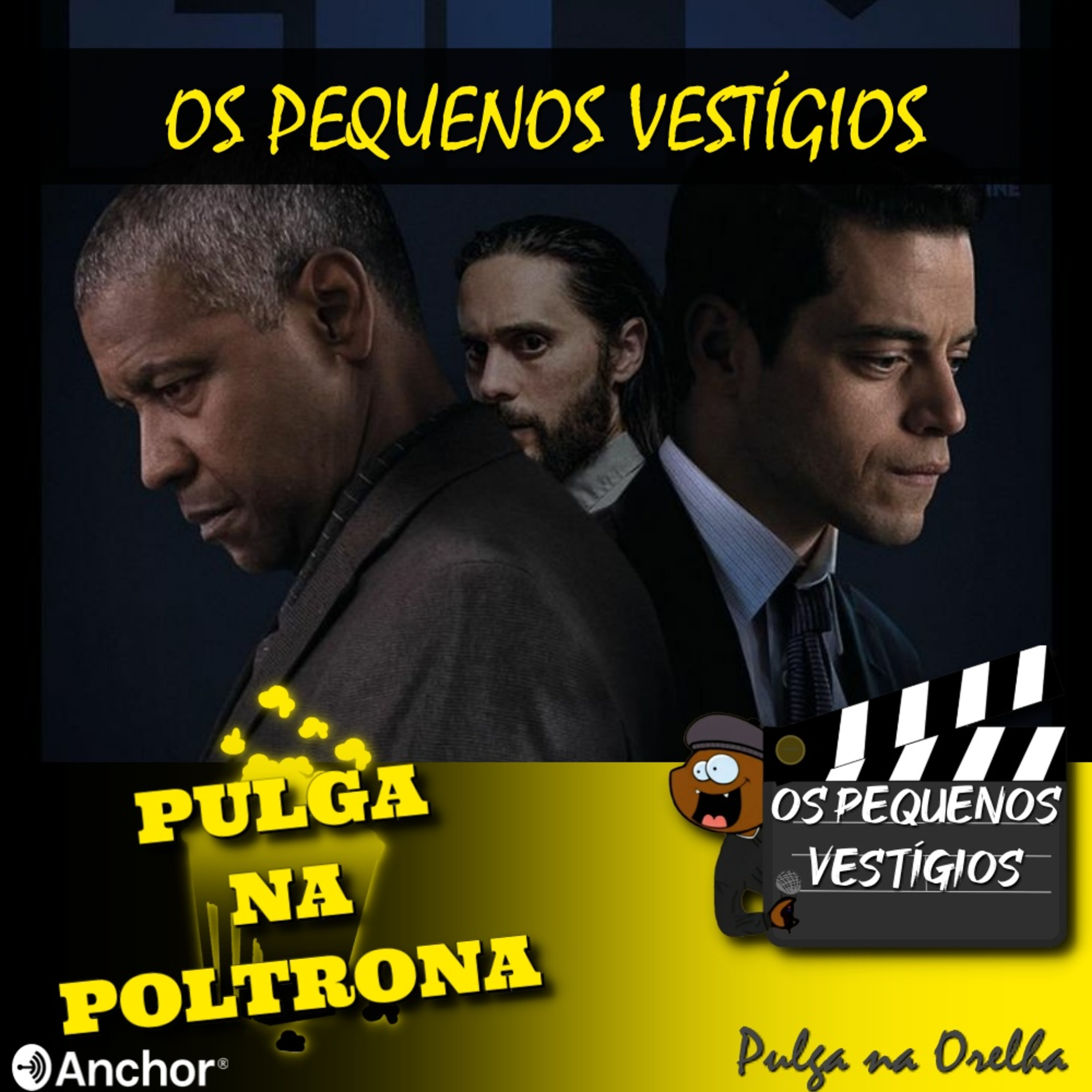 Pulga na Orelha