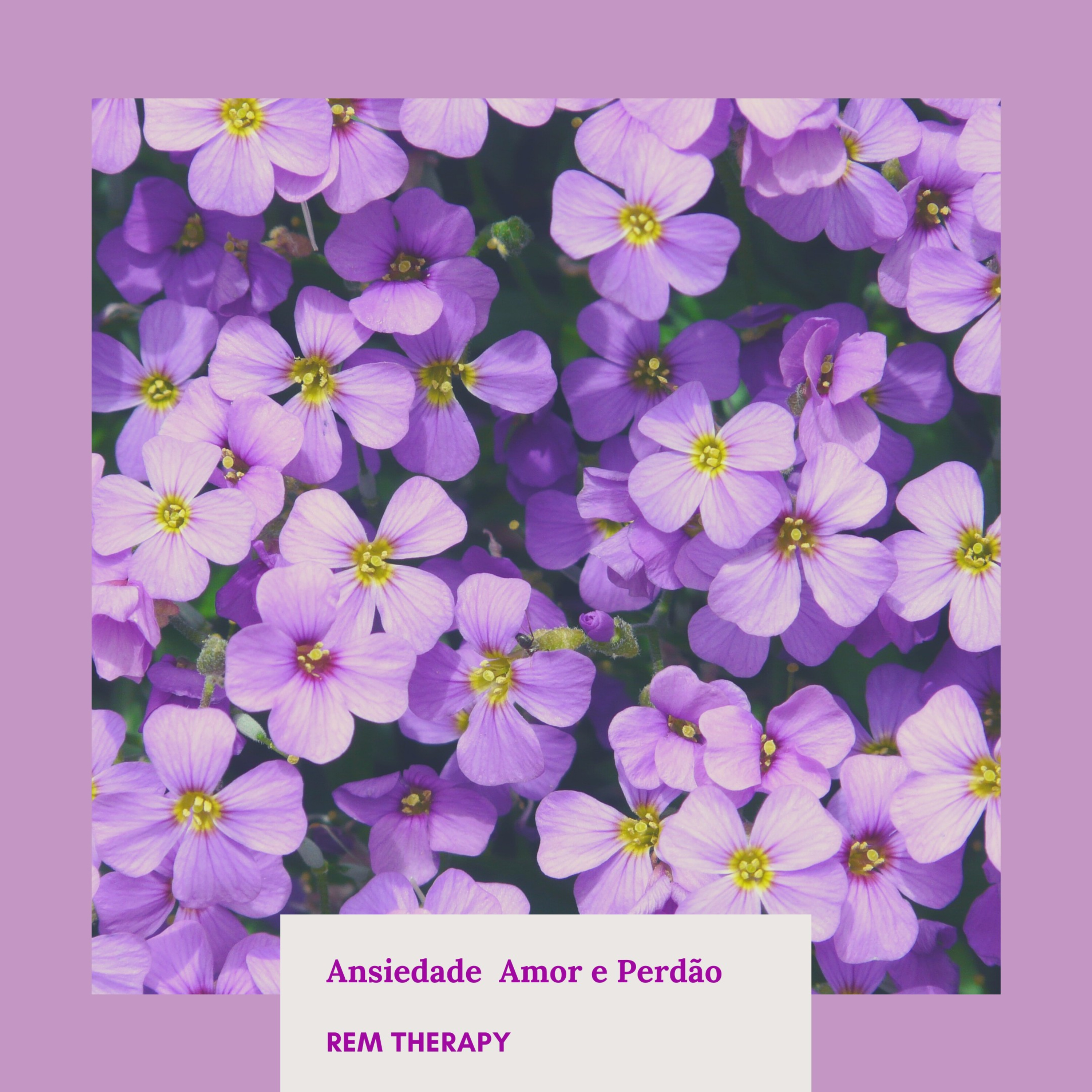 Ansiedade Amor e Perdão  episode artwork
