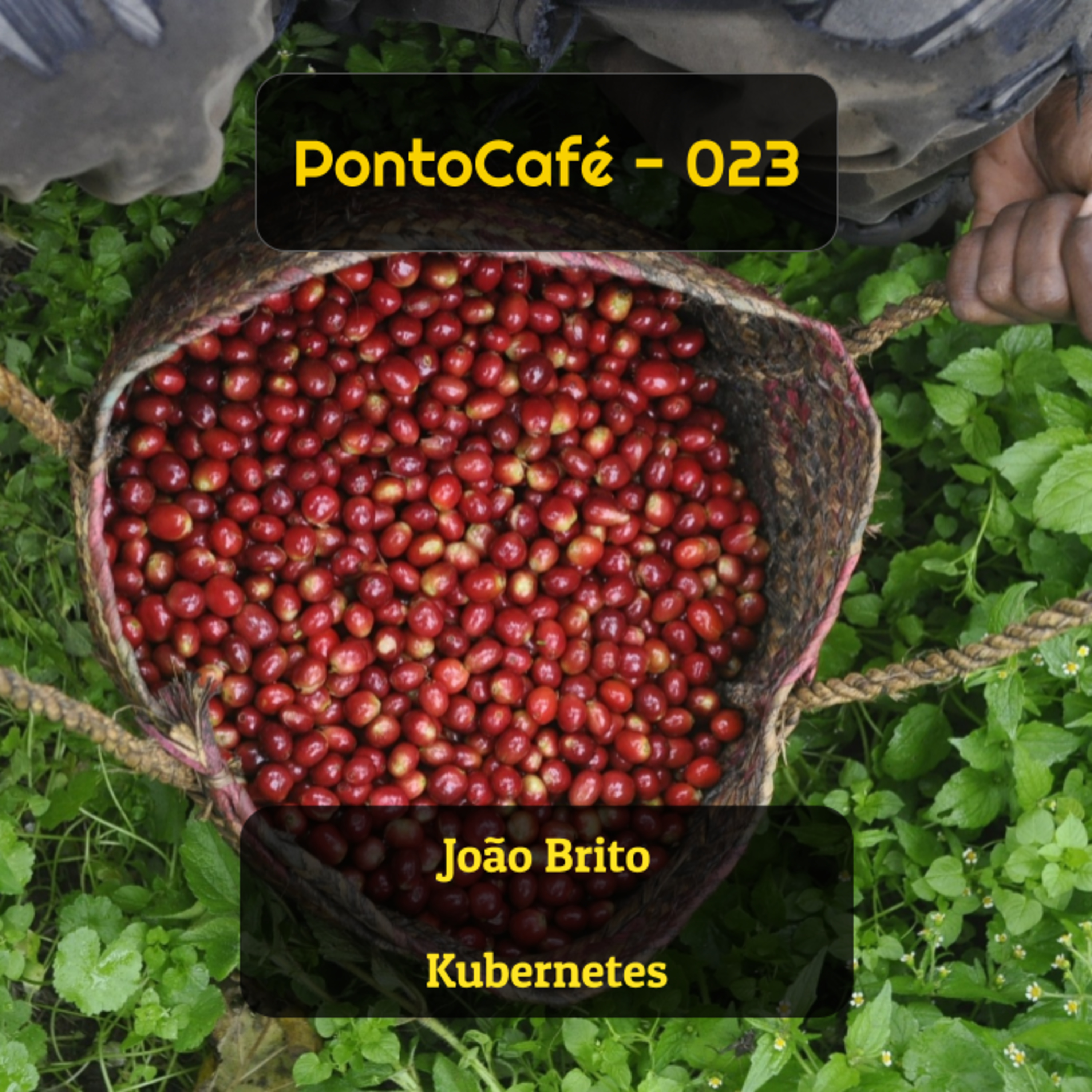 PontoCafé Podcast