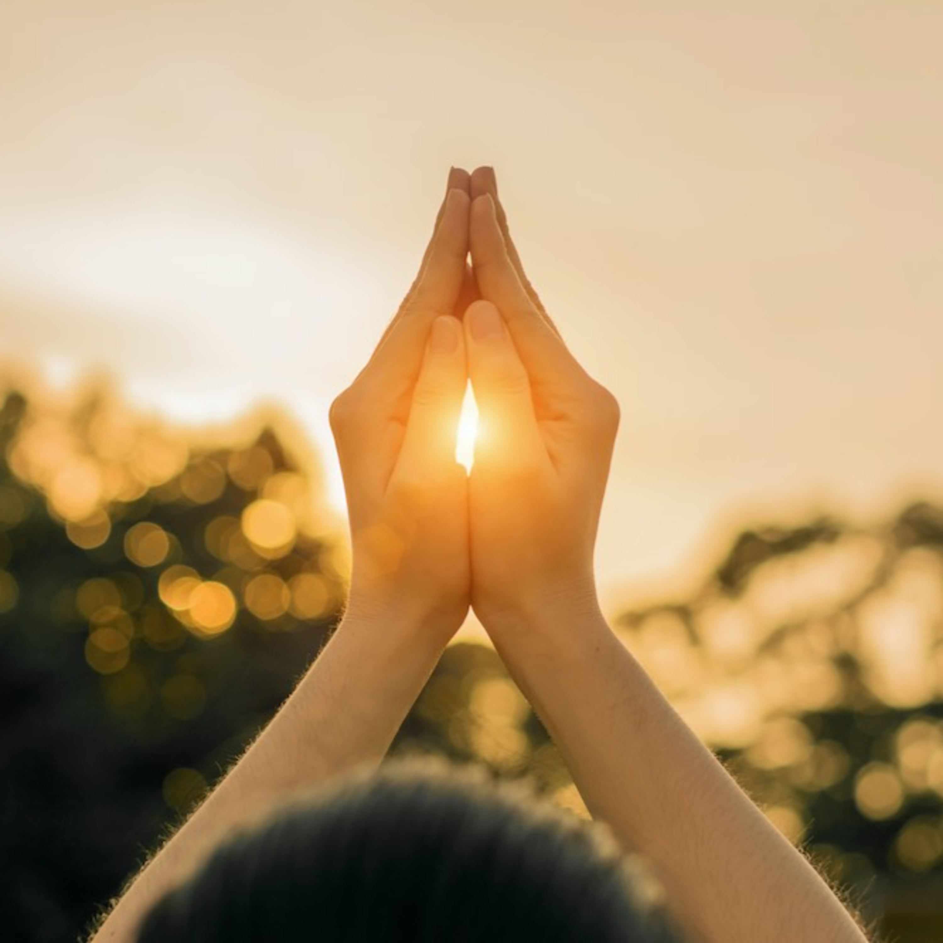 Meditaciones Sol Murias