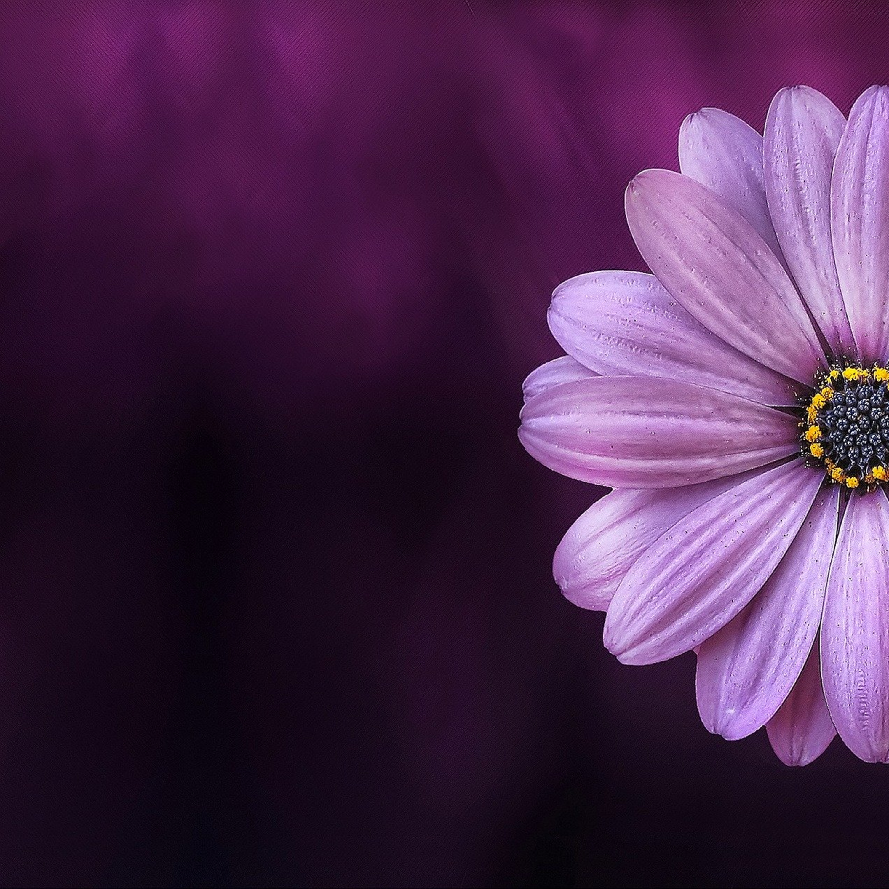 The Work Of The Empath
