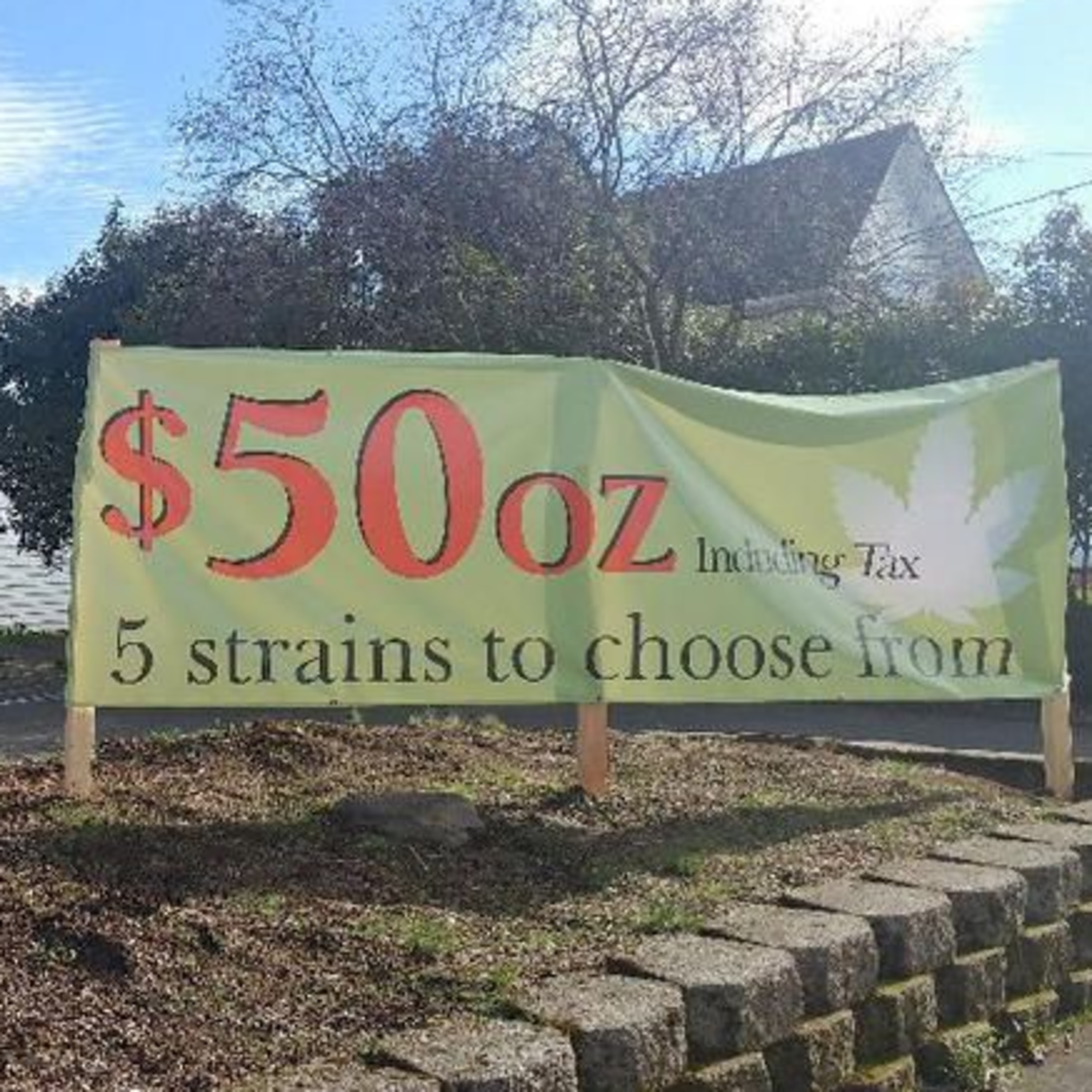 Cannabis on a Budget for Now - Crash the Price of Cannabis LATER