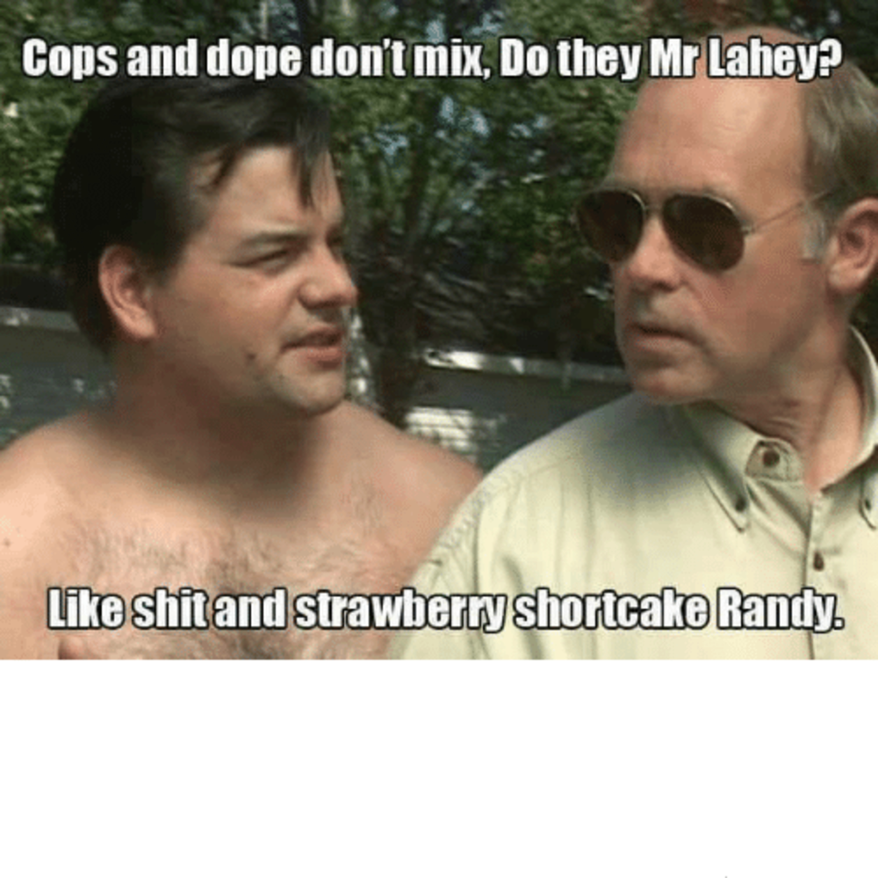 Cops and Cannabis Don't Mix in Massachusetts and America So STFU