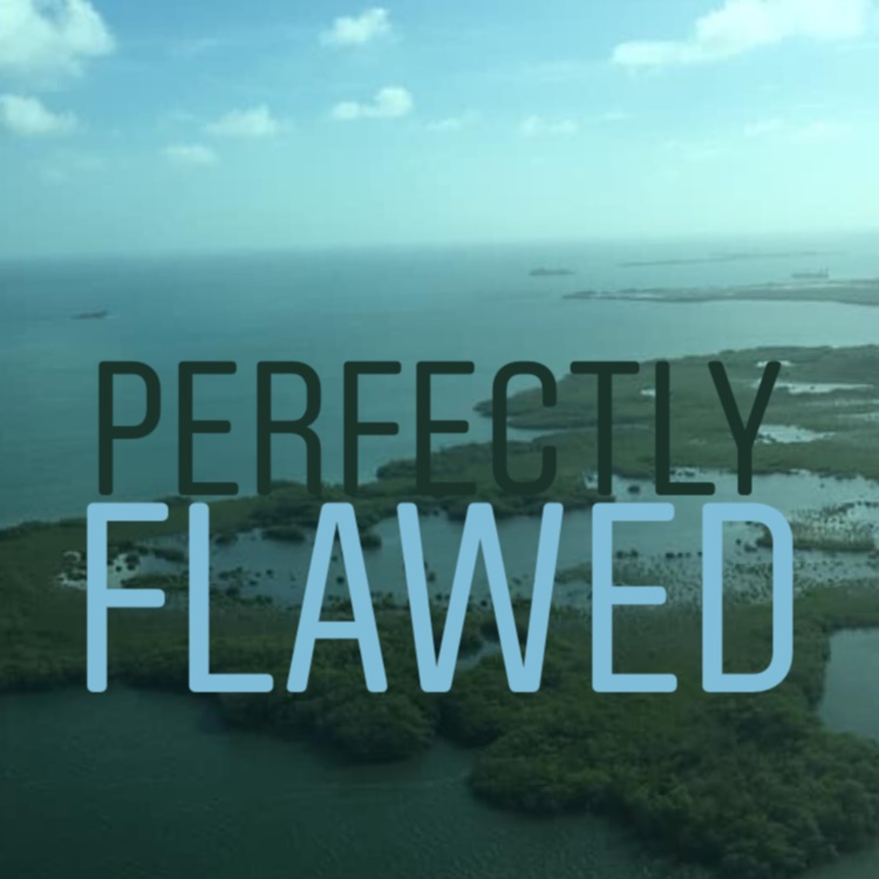Perfectly Flawed