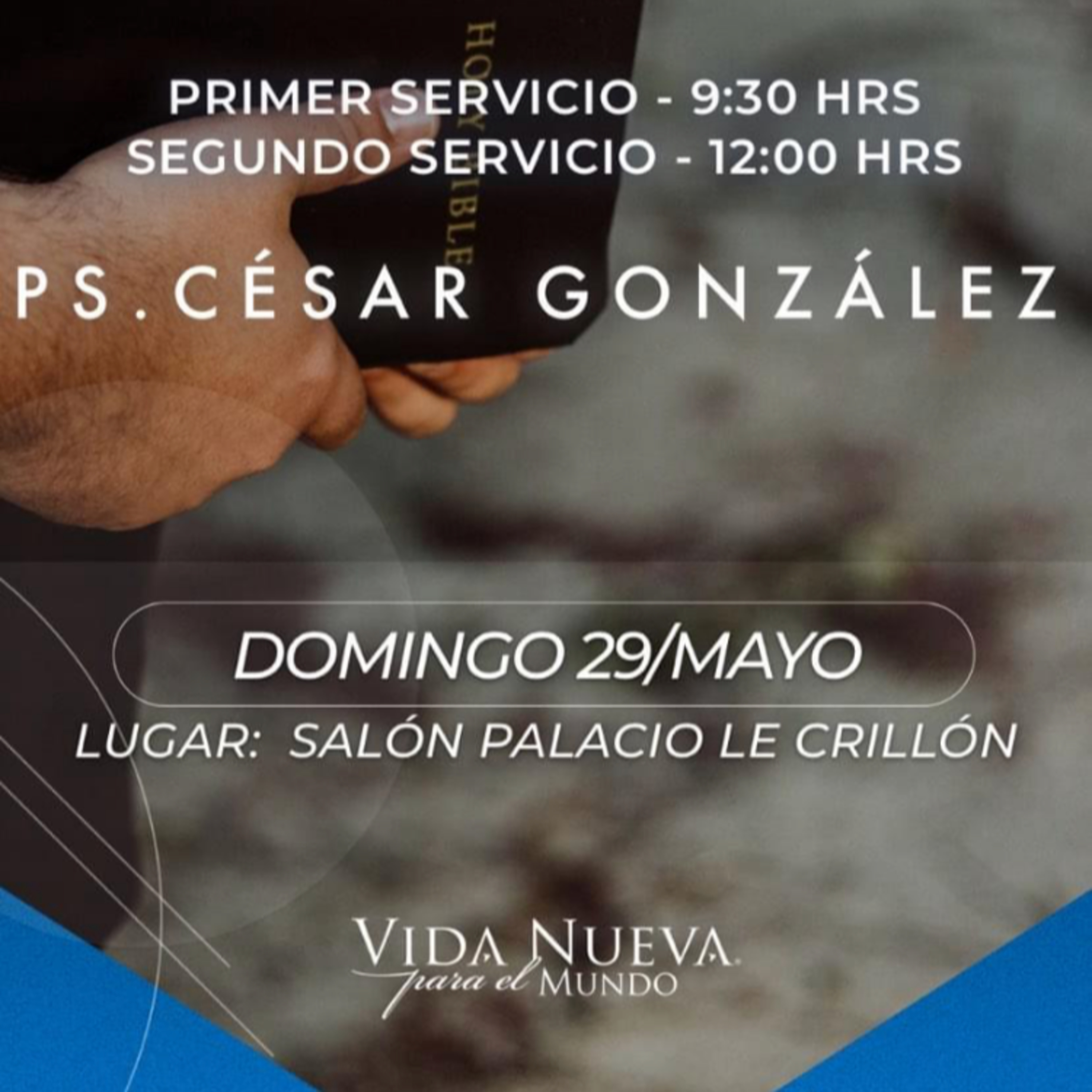 VNPEM Sur