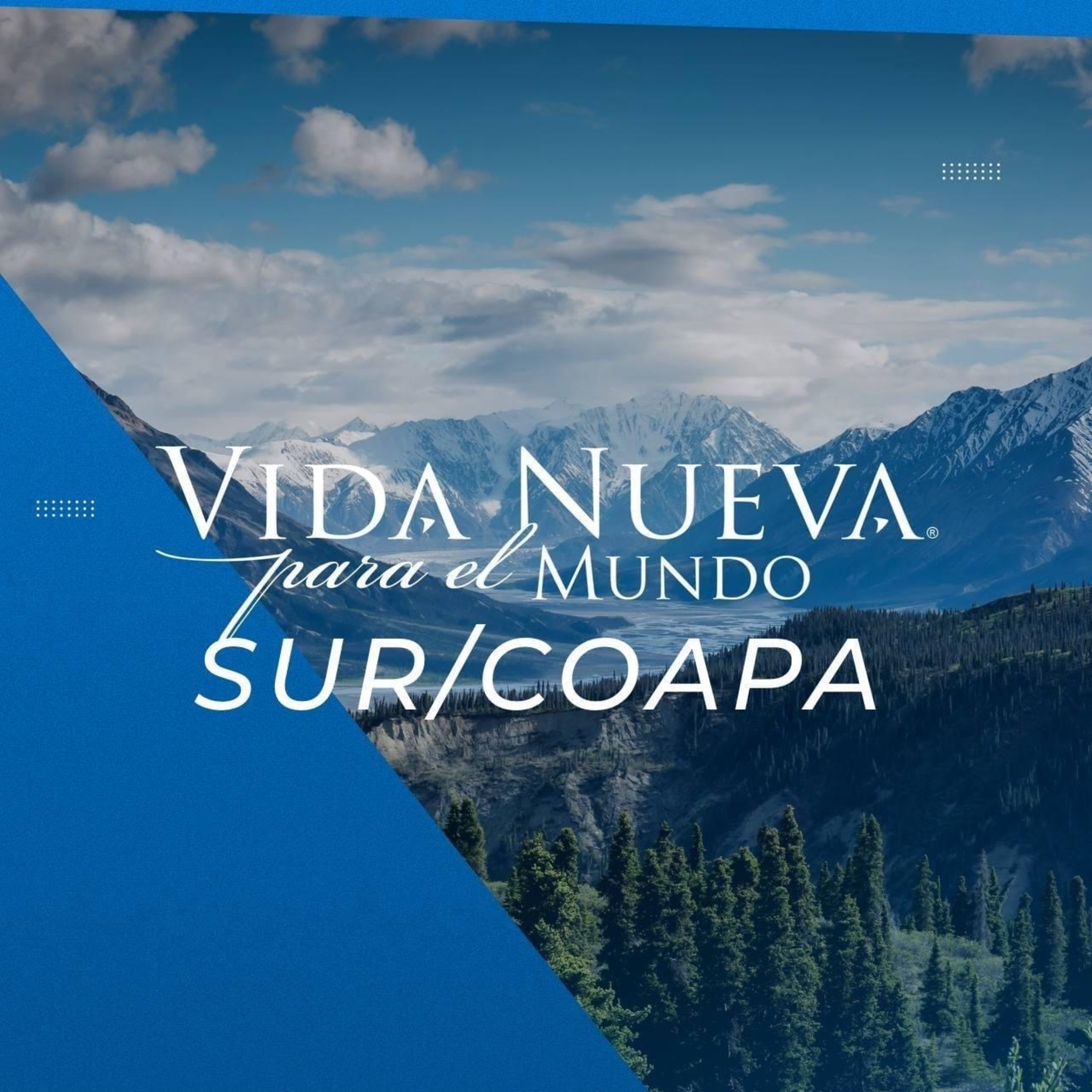 VNPEM Sur