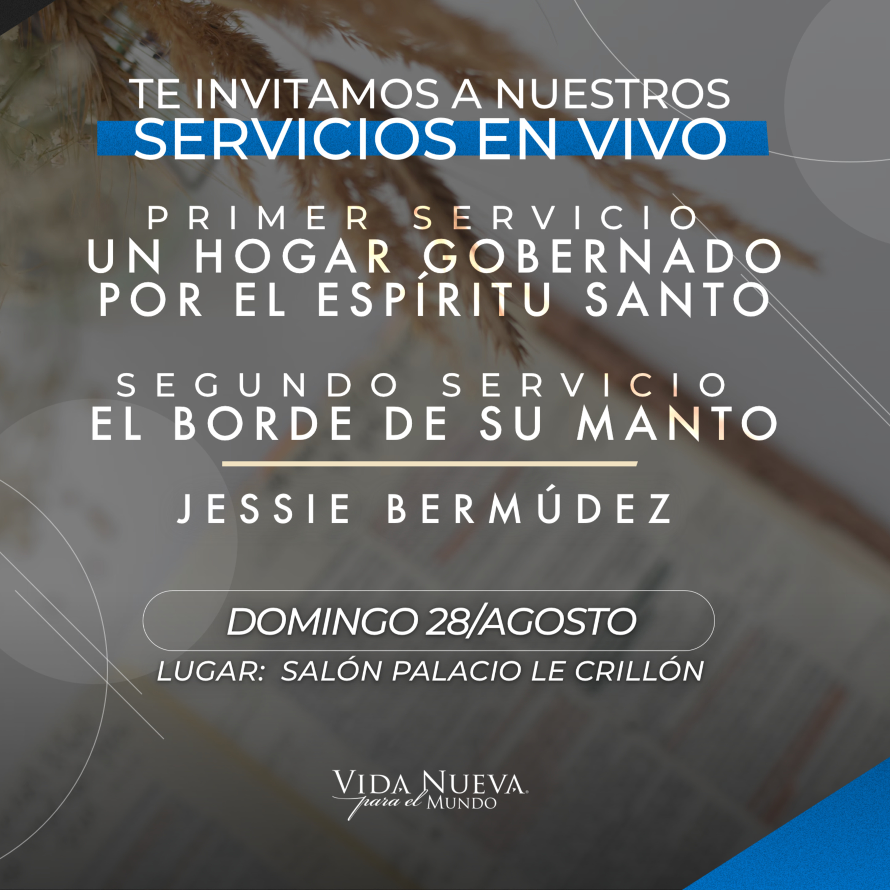 VNPEM Sur