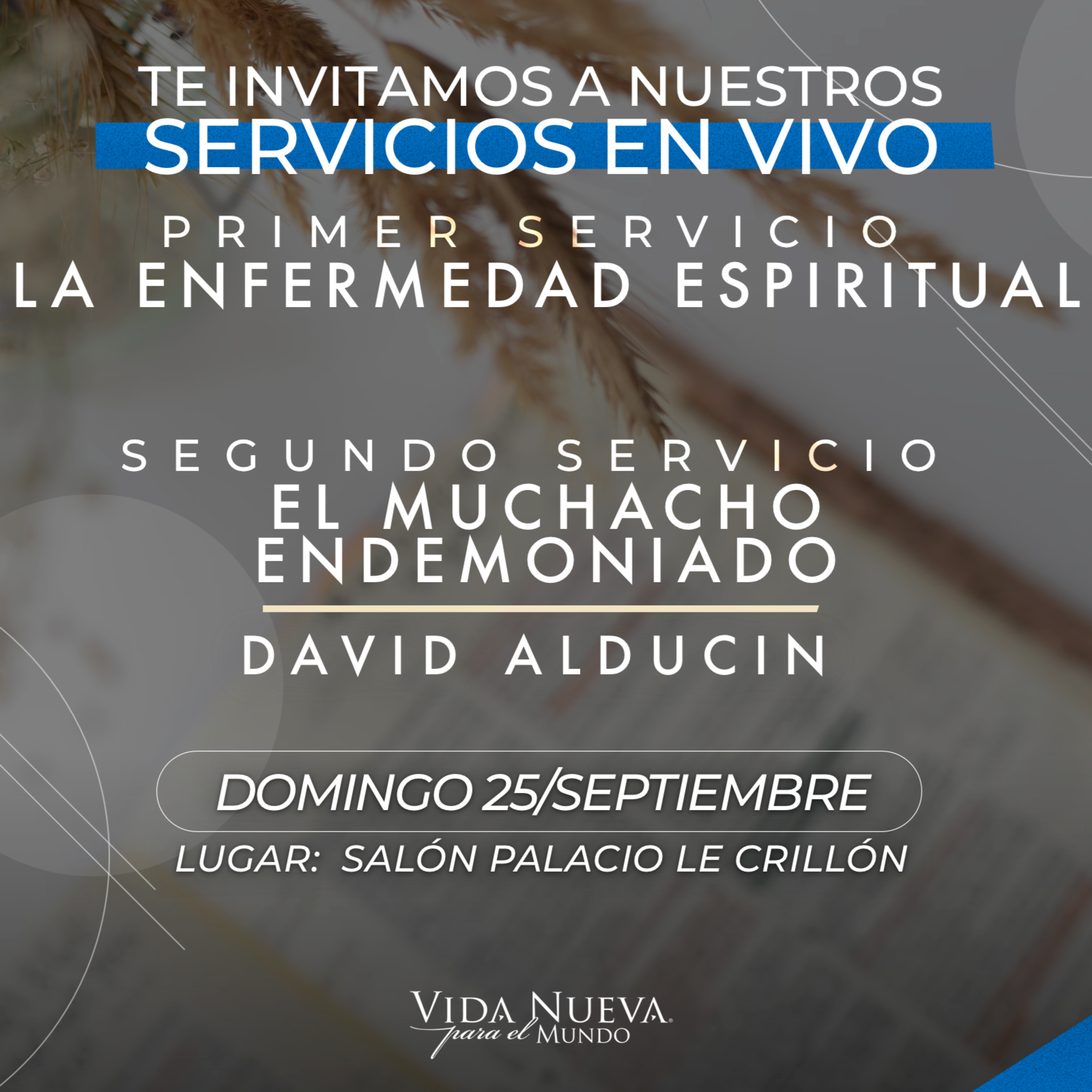VNPEM Sur