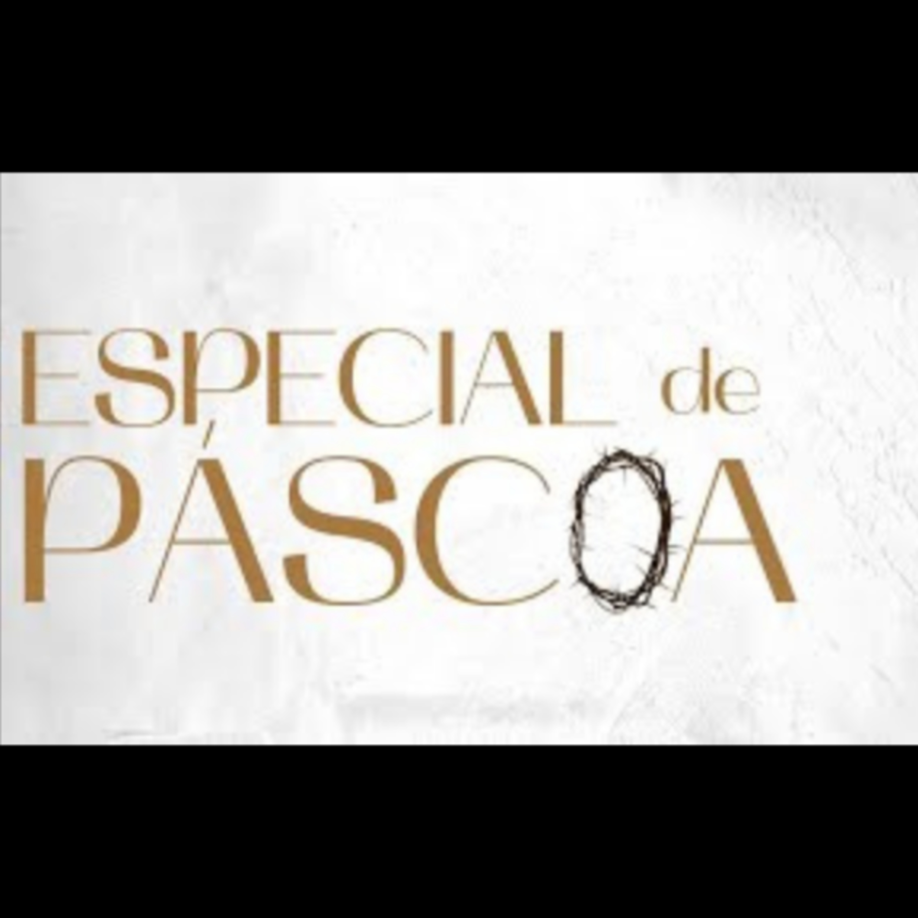 Renovada Igreja Missionária | MENSAGENS