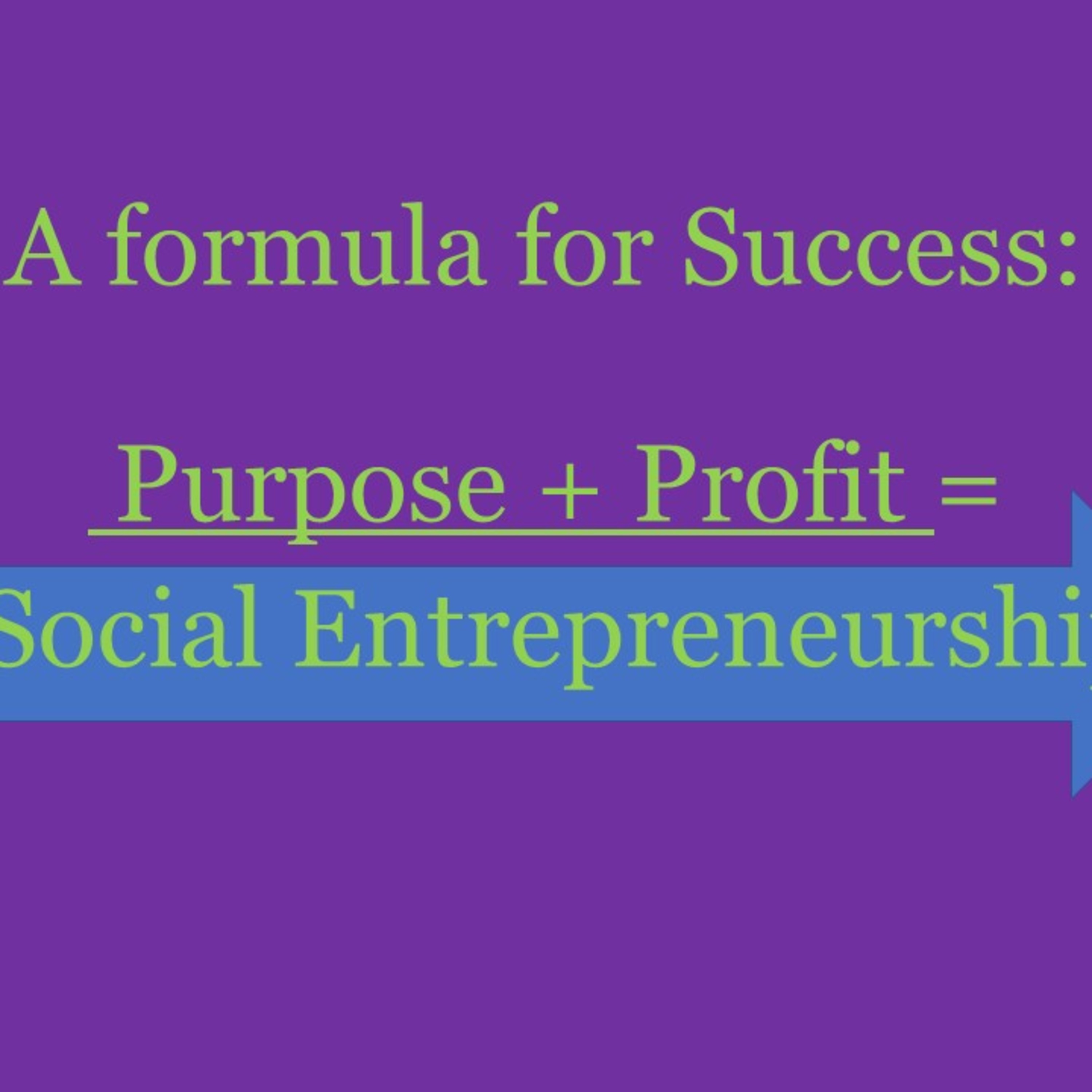 Social Enterprises and Social Entrepreneurship