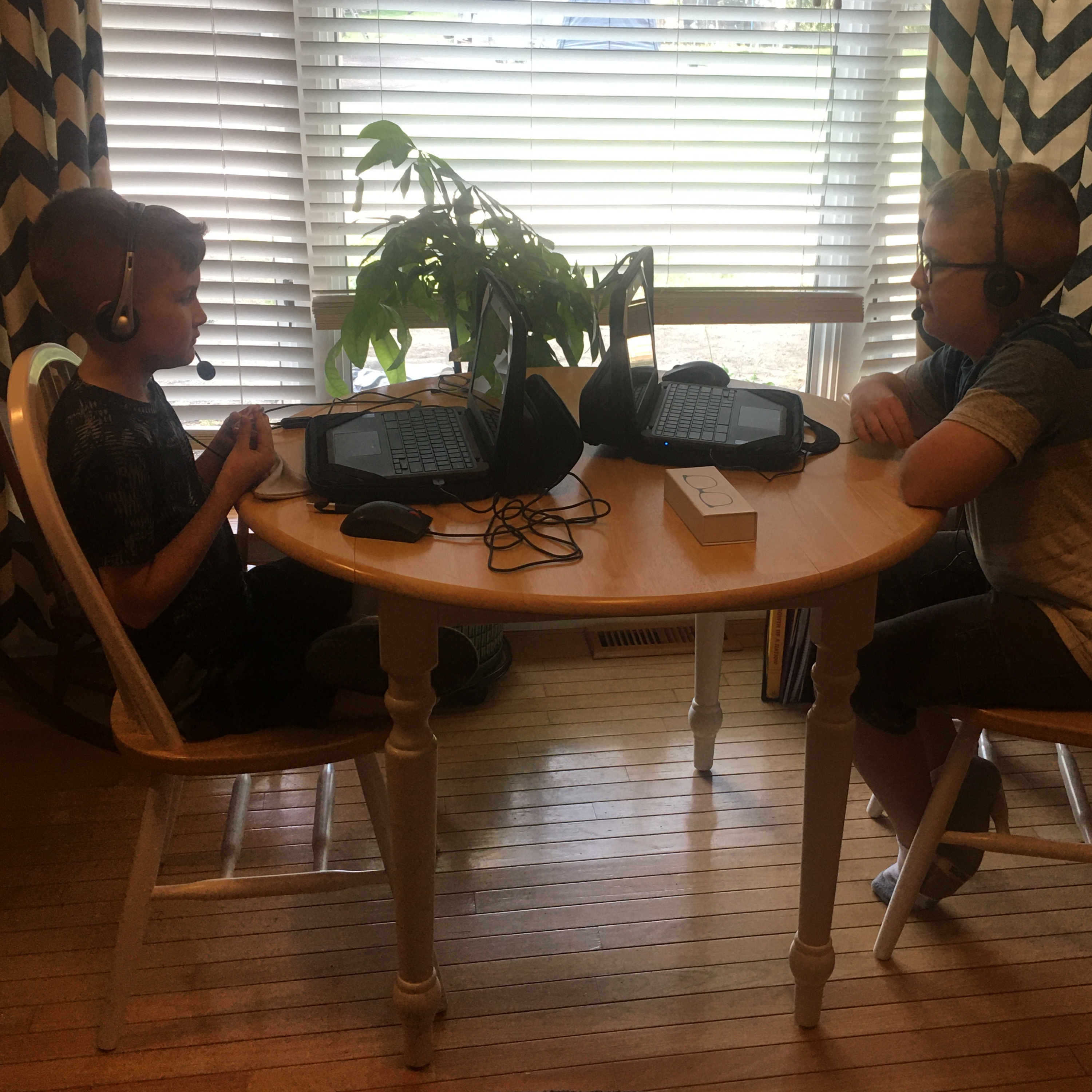 Livin\' That Online School Life!