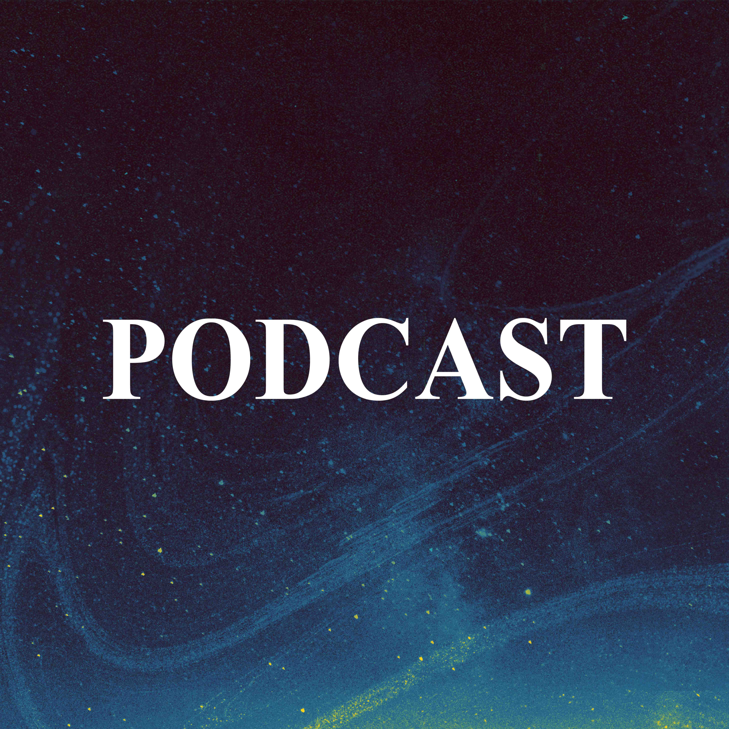 20th Nov 2022 The Willing Unknowns episode artwork