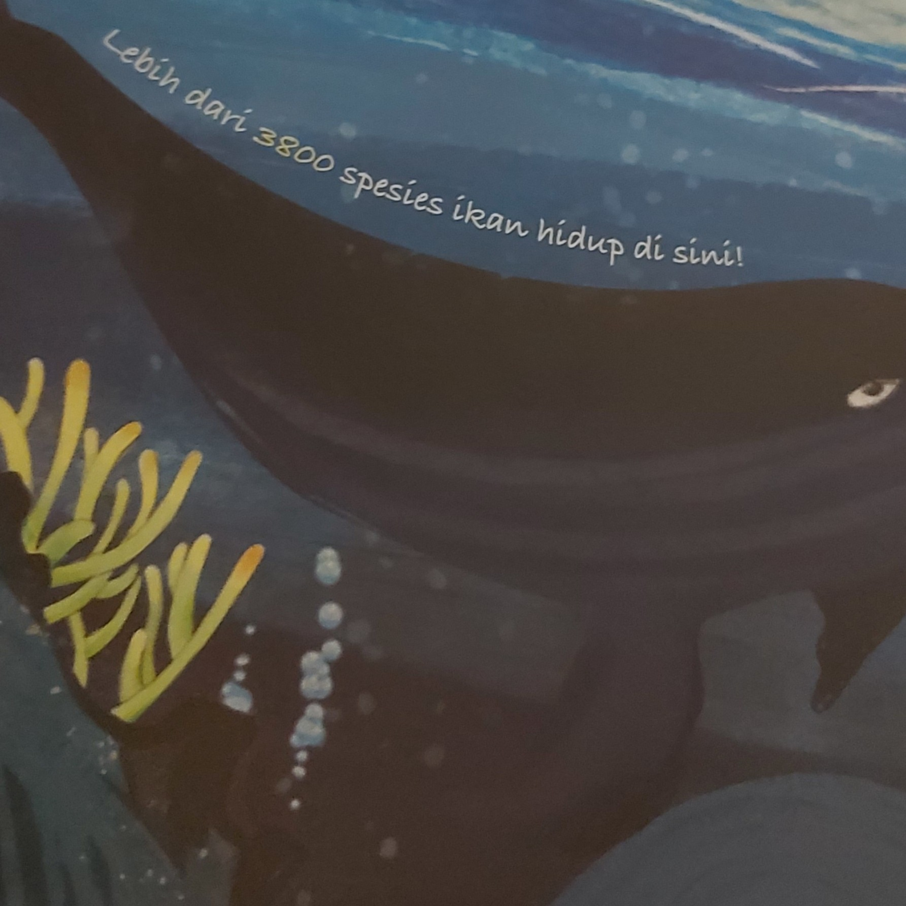cover of episode Hewan Aneh di Samudera Pasifik
