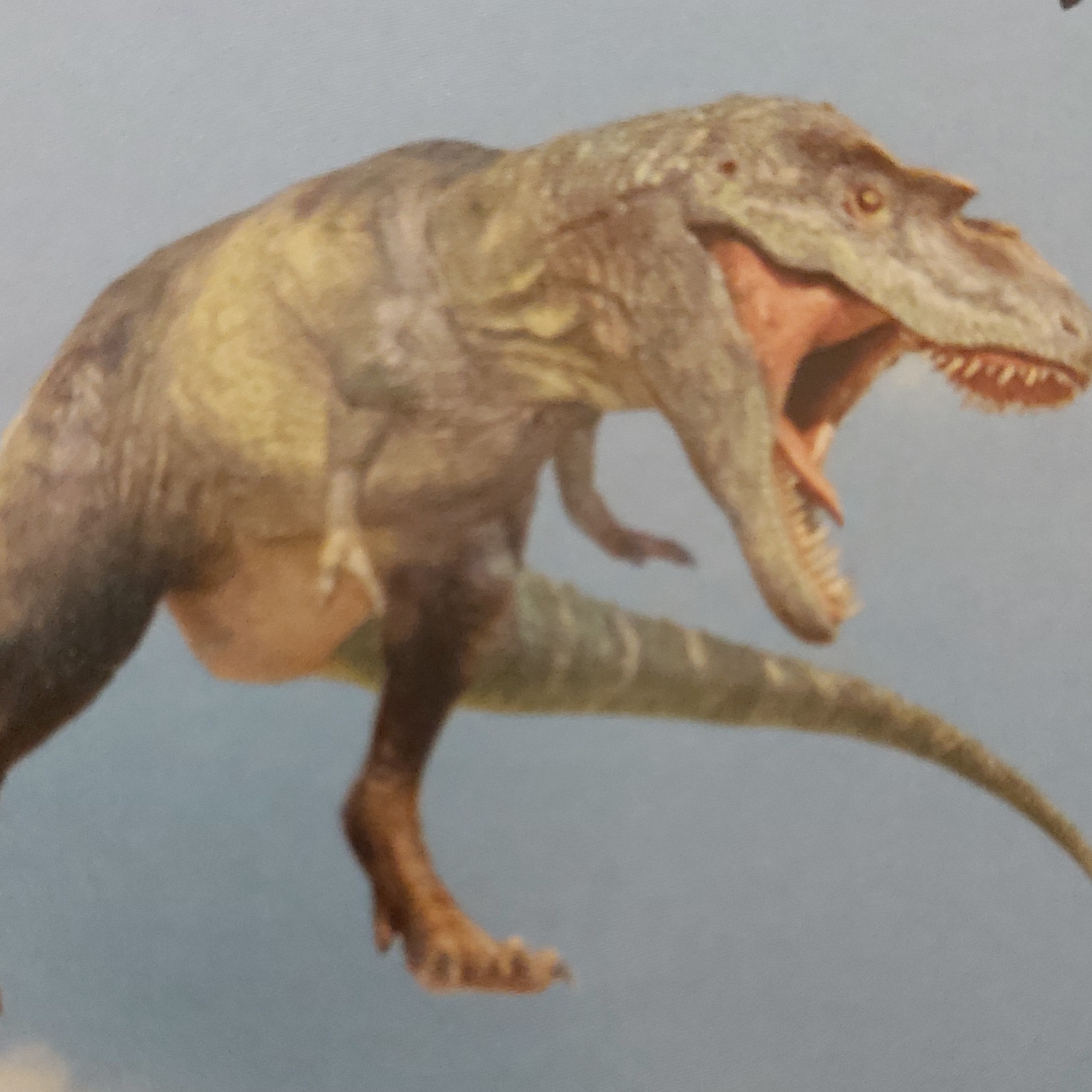 cover of episode Tyrannosaurus