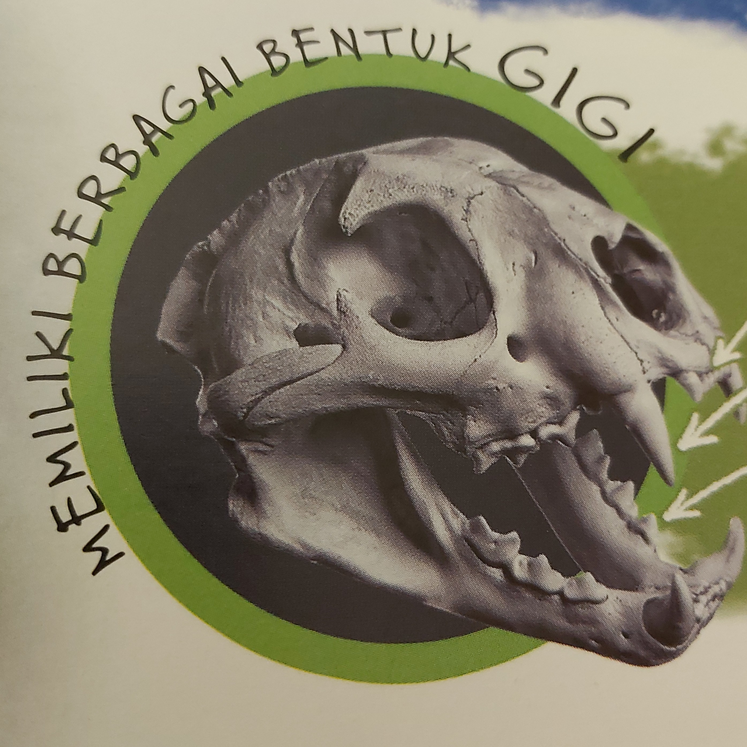 cover of episode Fakta menarik hewan mamalia