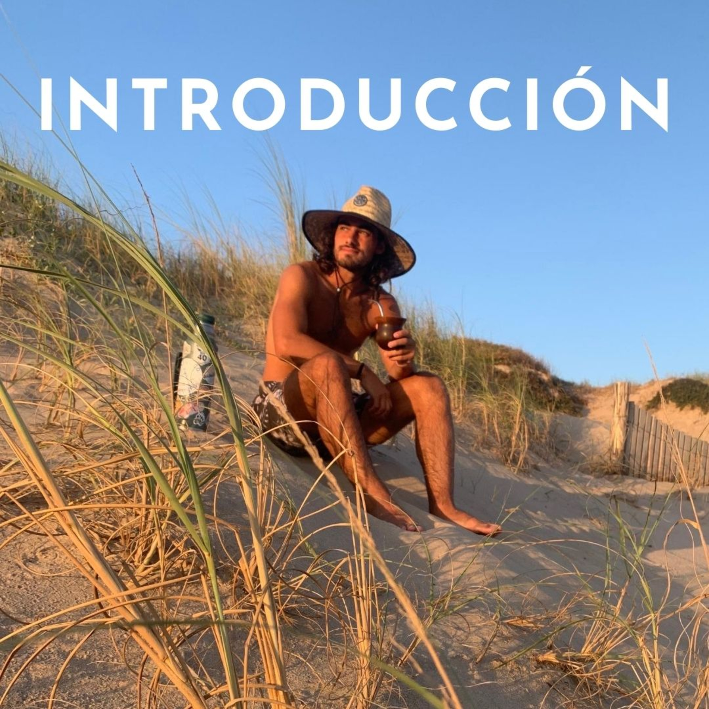Introducción episode artwork