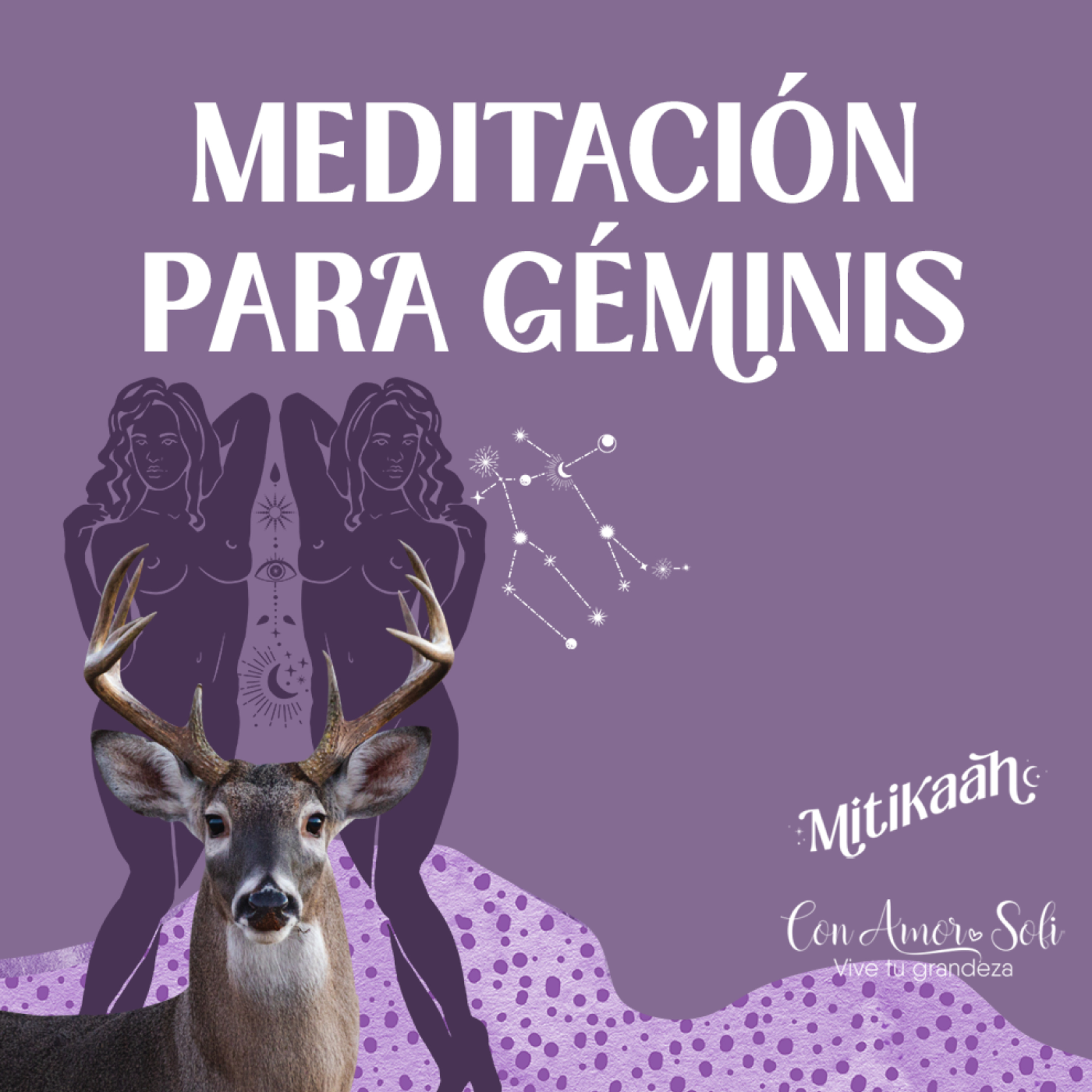 Con Amor. Sofi / Meditaciones guiadas