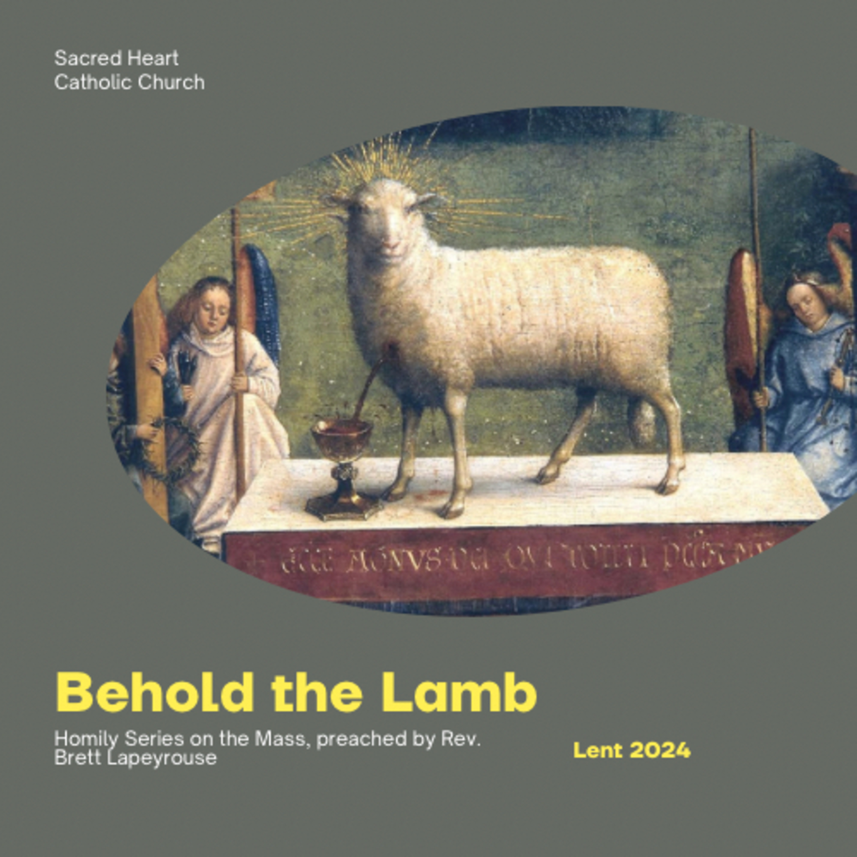 “Why Do We Do This?” - “Behold the Lamb” Homily Series Introduction, 1st Sunday of Lent (B) episode artwork